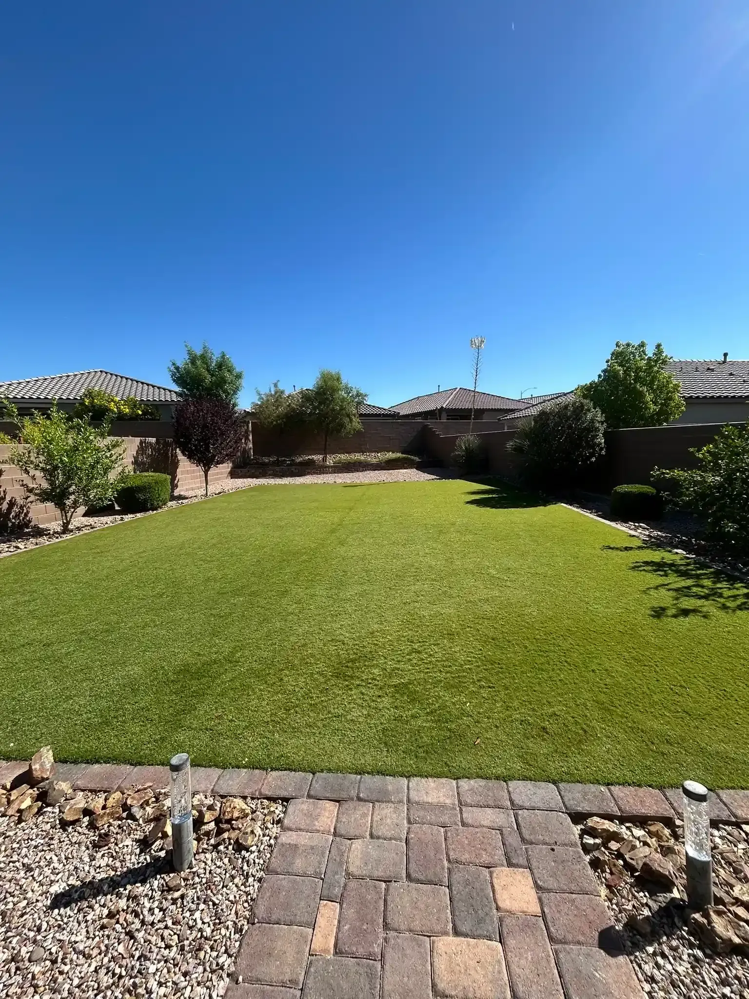 Sunlit backyard with a green lawn, stone border, and clear blue sky.