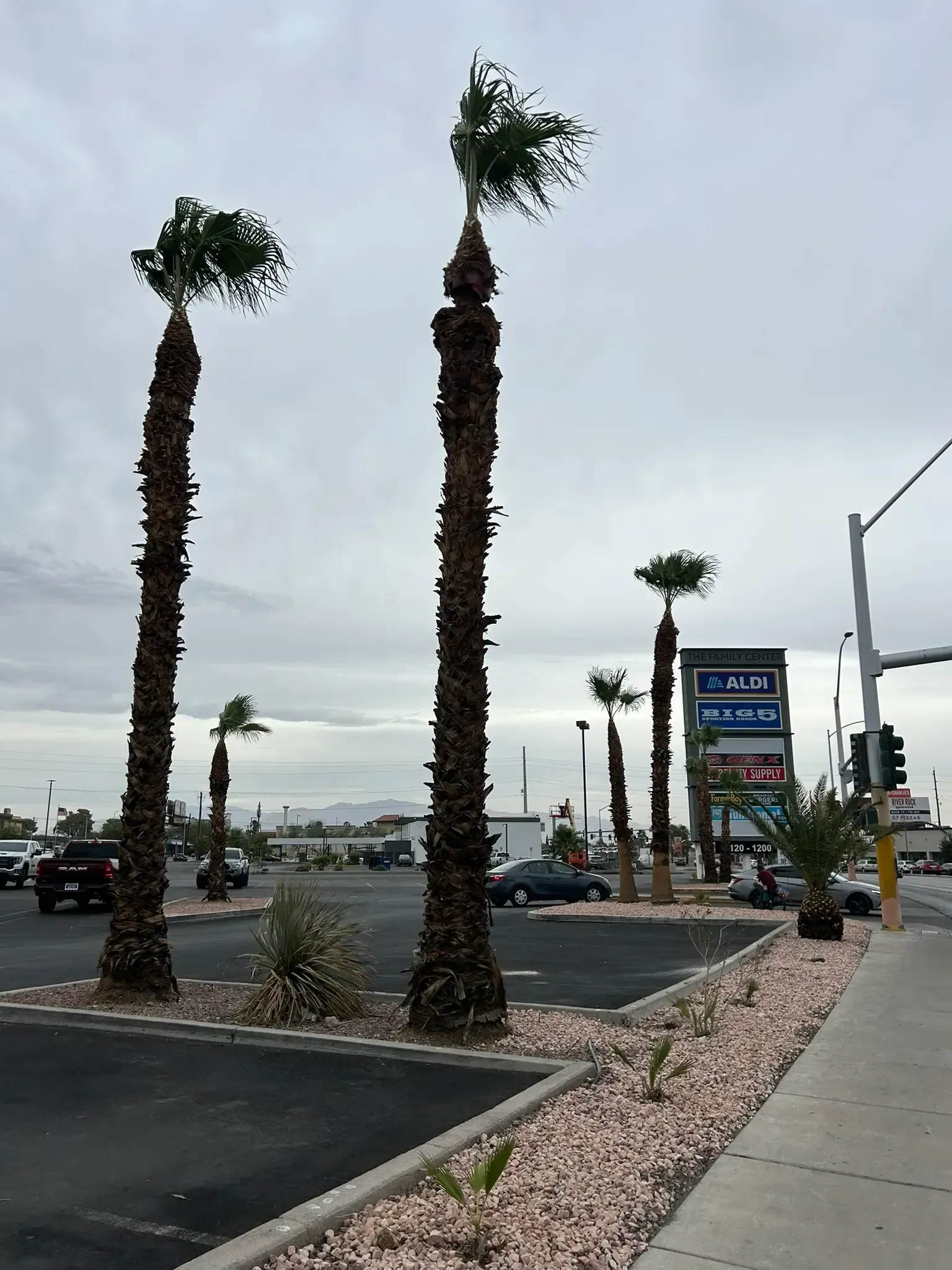 Parking lot with tall palm trees, gravel landscaping, and roadside signs under a cloudy sky