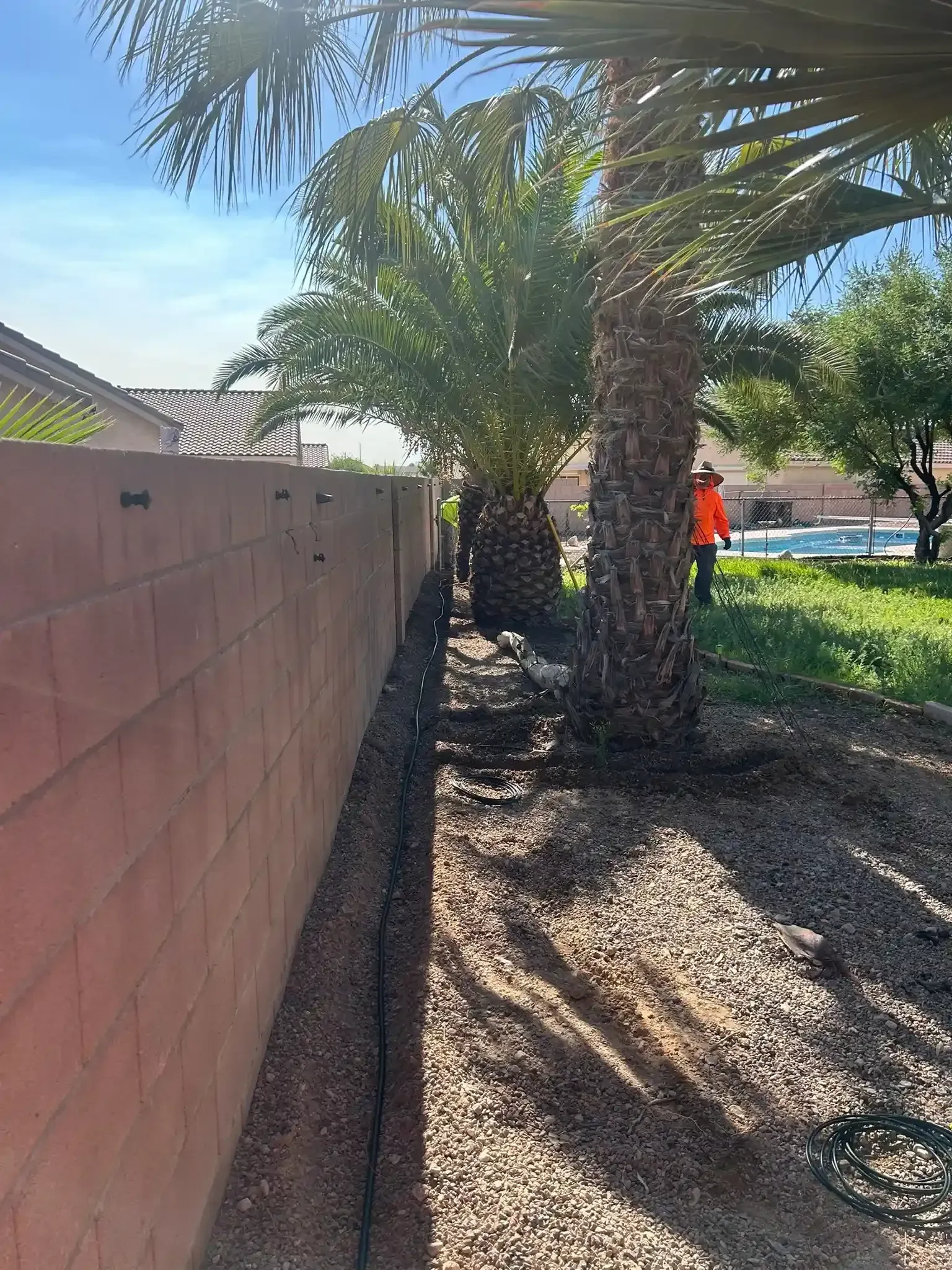 Sunny backyard with palm trees, a wall, and a person in an orange shirt near a pool