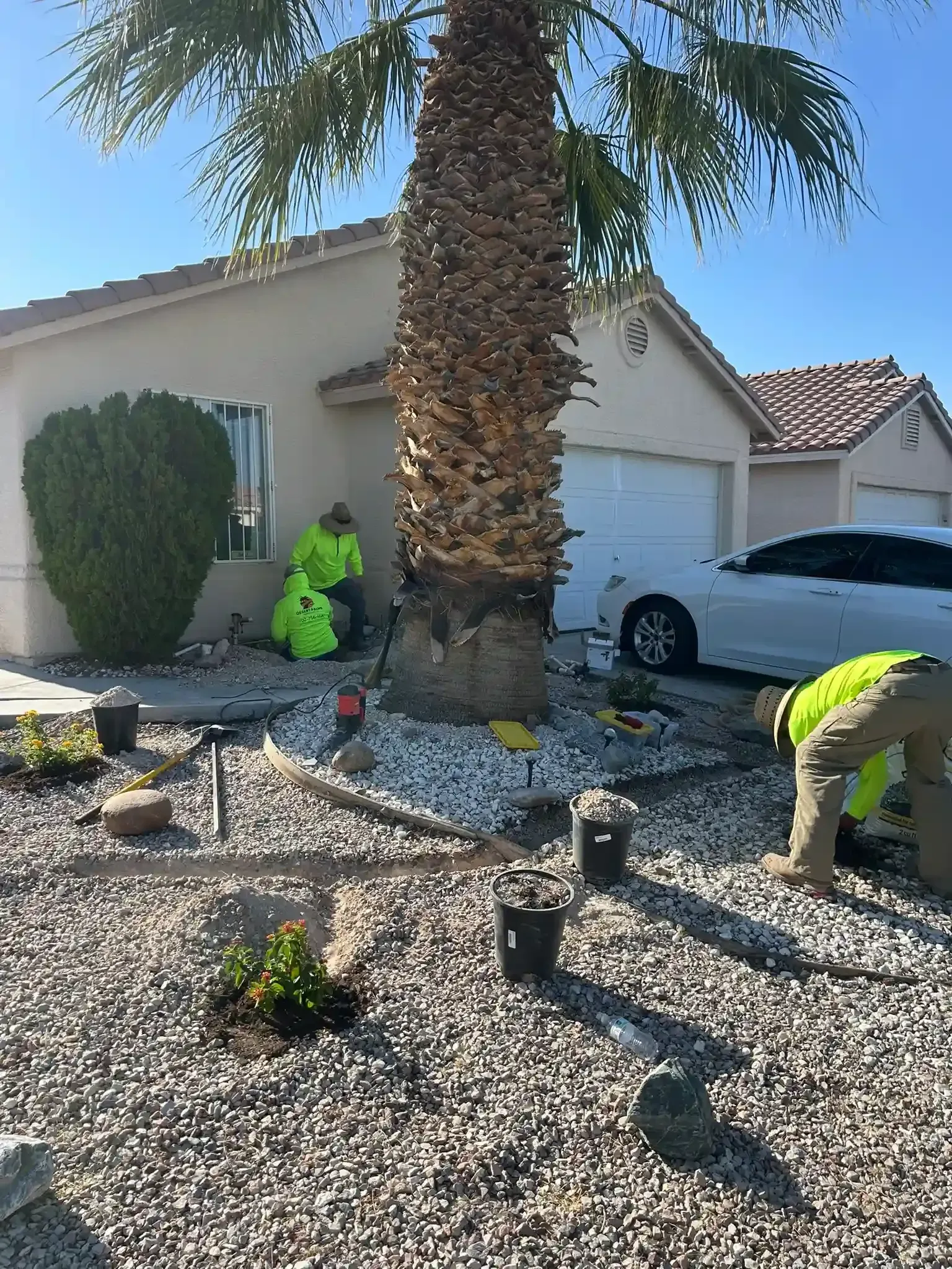 New irrigation installation