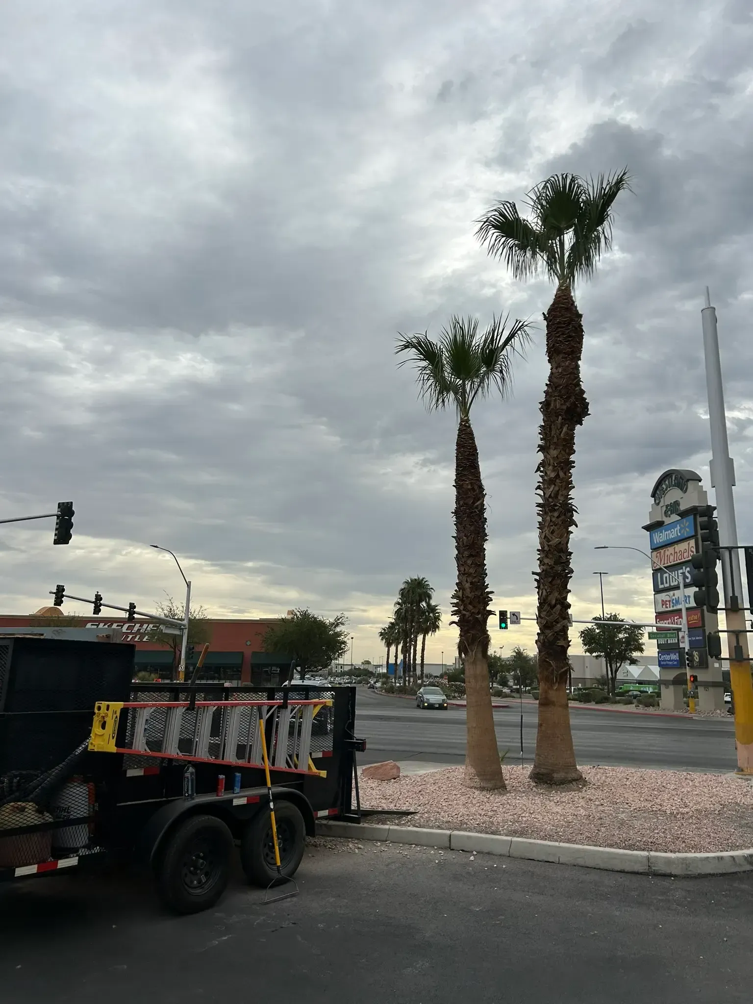 Cloudy street intersection with two tall palm trees, a parked truck, and a traffic light.