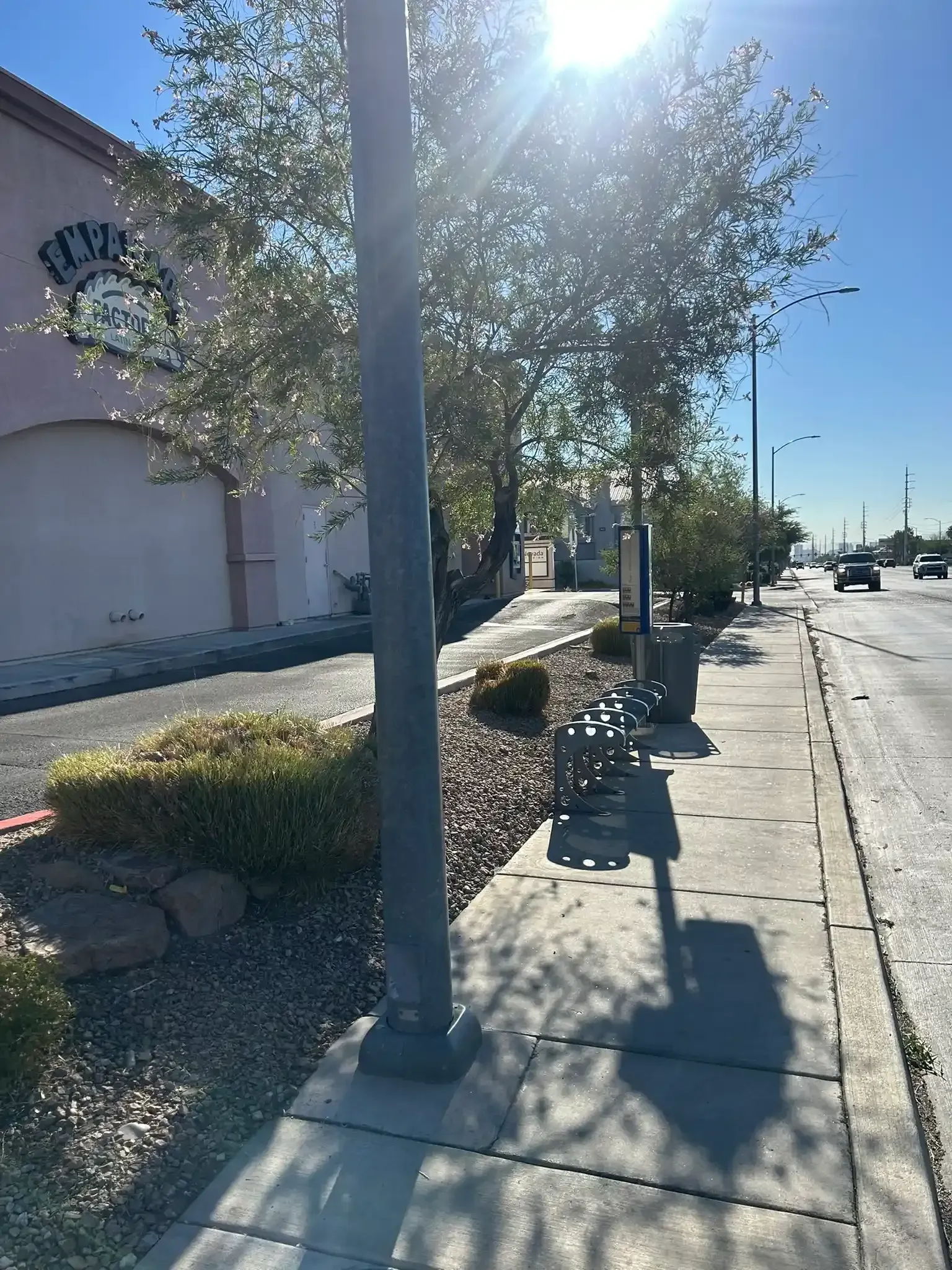 Sunlit sidewalk beside a stucco building, trees, and a street with parked cars.
