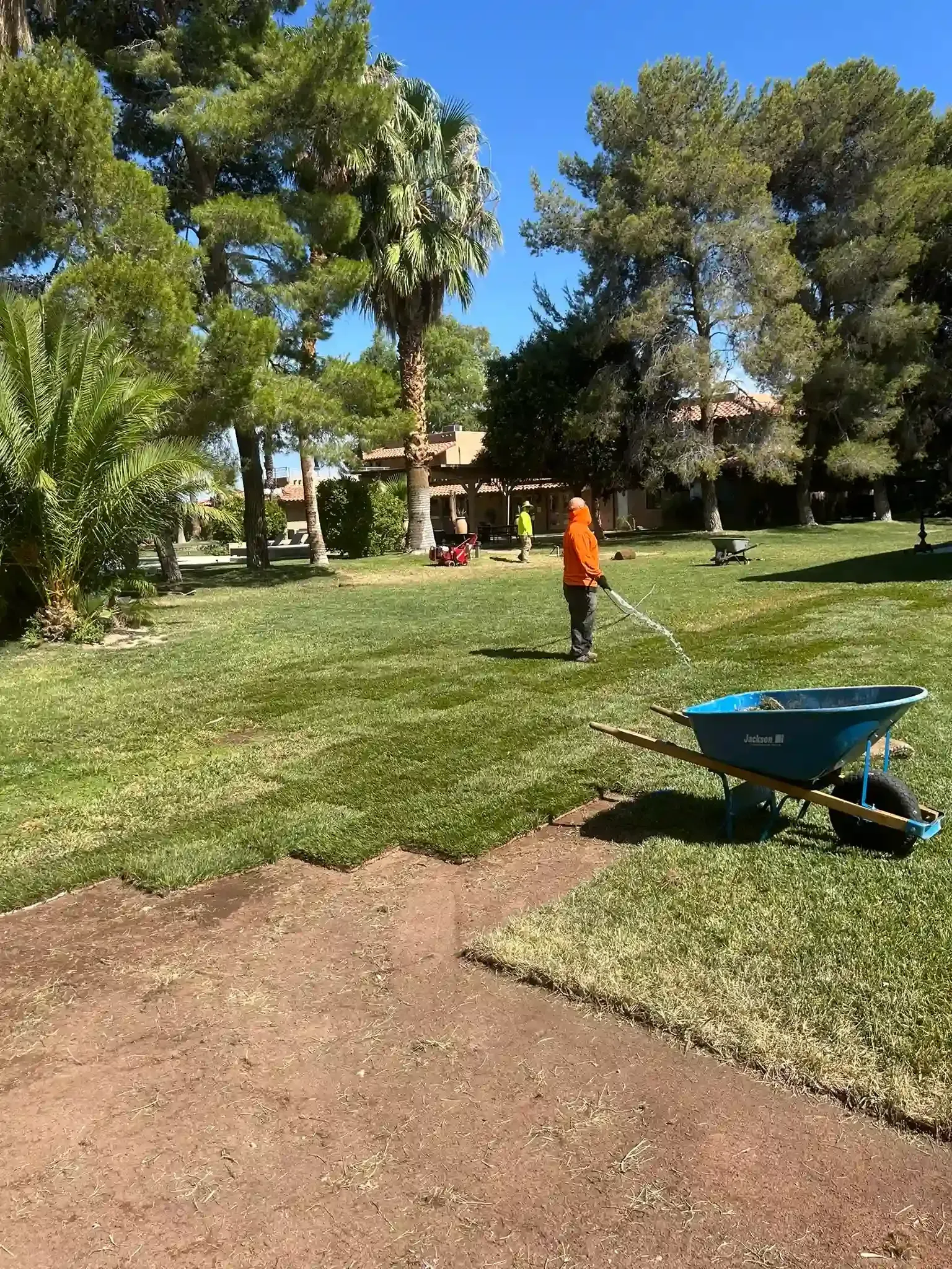 Park lawn with tall trees, a person in an orange shirt, and a blue wheelbarrow on the grass.