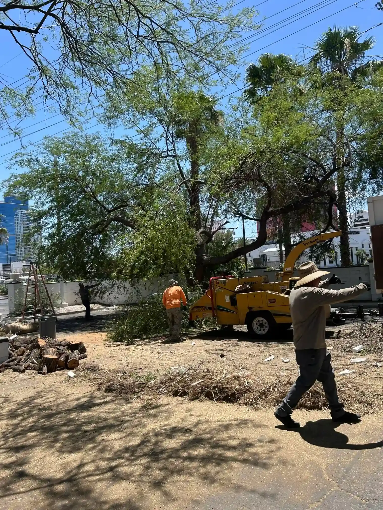 Worker walks past a yellow truck amid fallen tree branches on a sunny street.