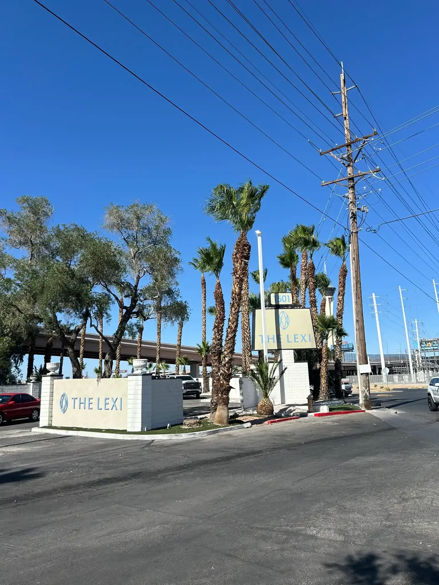 Sunny street with palm trees, power lines, and a low building beside a road.