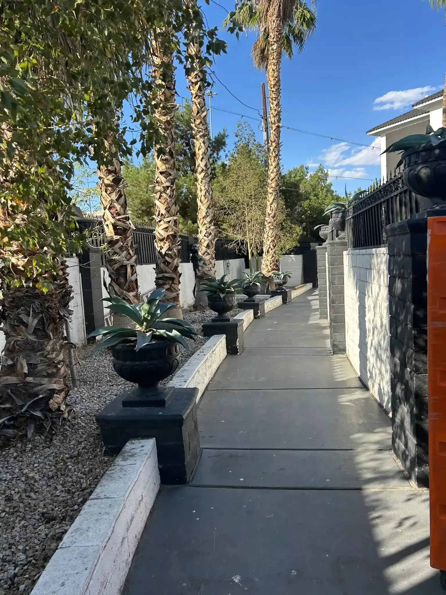 Sunny concrete walkway lined with tall potted trees and black planters beside a stone wall