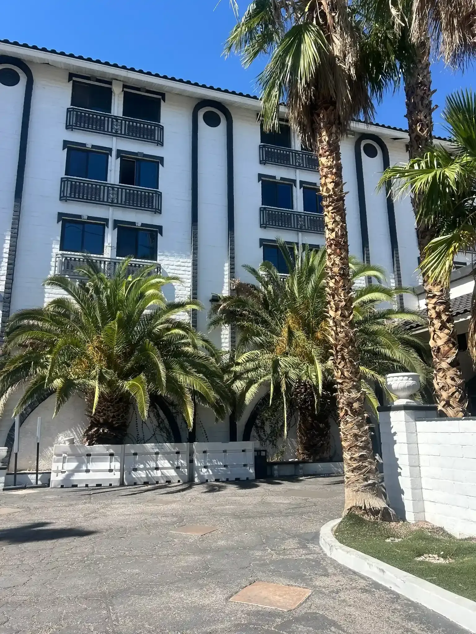 White multi-story building with blue accents, palm trees, and a paved courtyard under a sunny sky