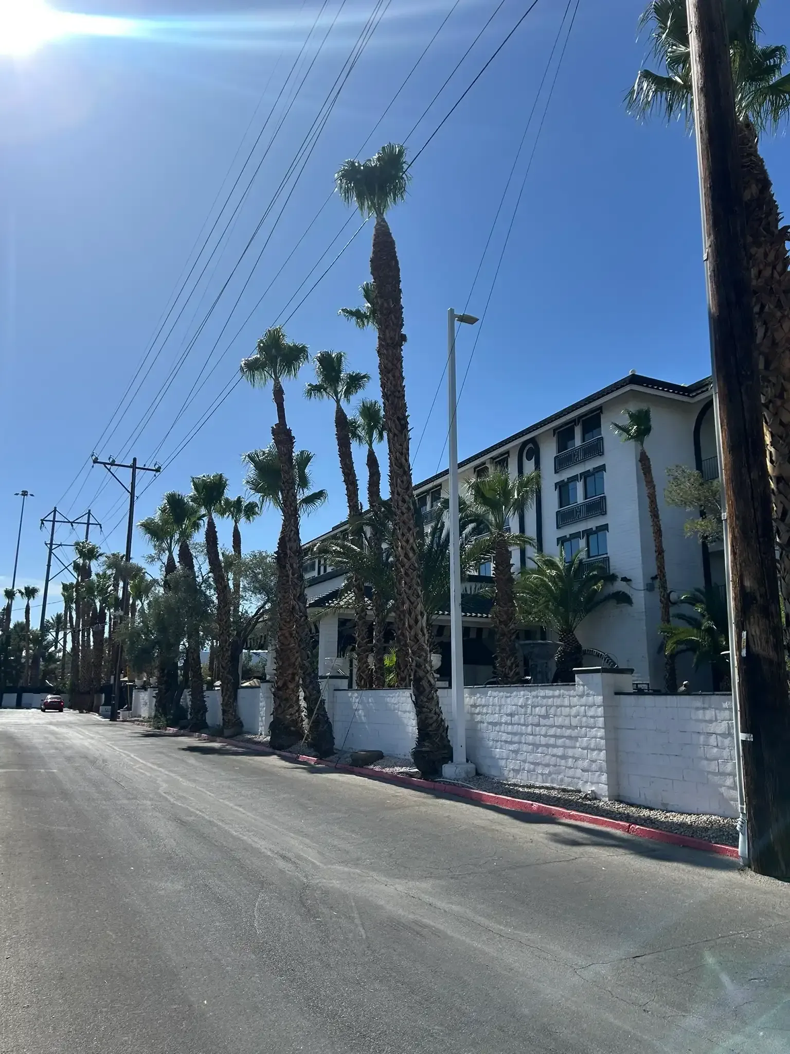 Sunny street with tall palm trees, a white wall, and a low-rise building under a clear blue sky.