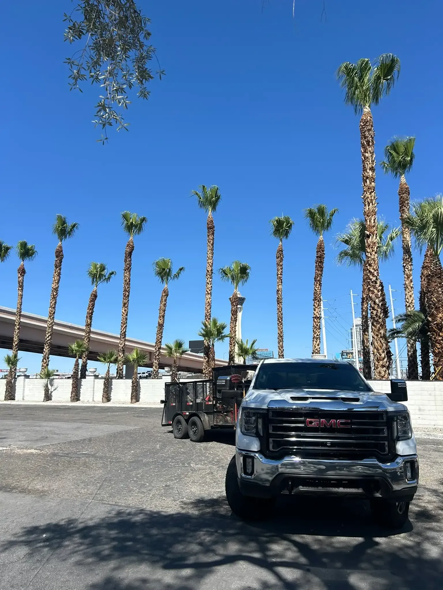 Black pickup truck parked on a gravel lot beside tall palm trees under a clear blue sky