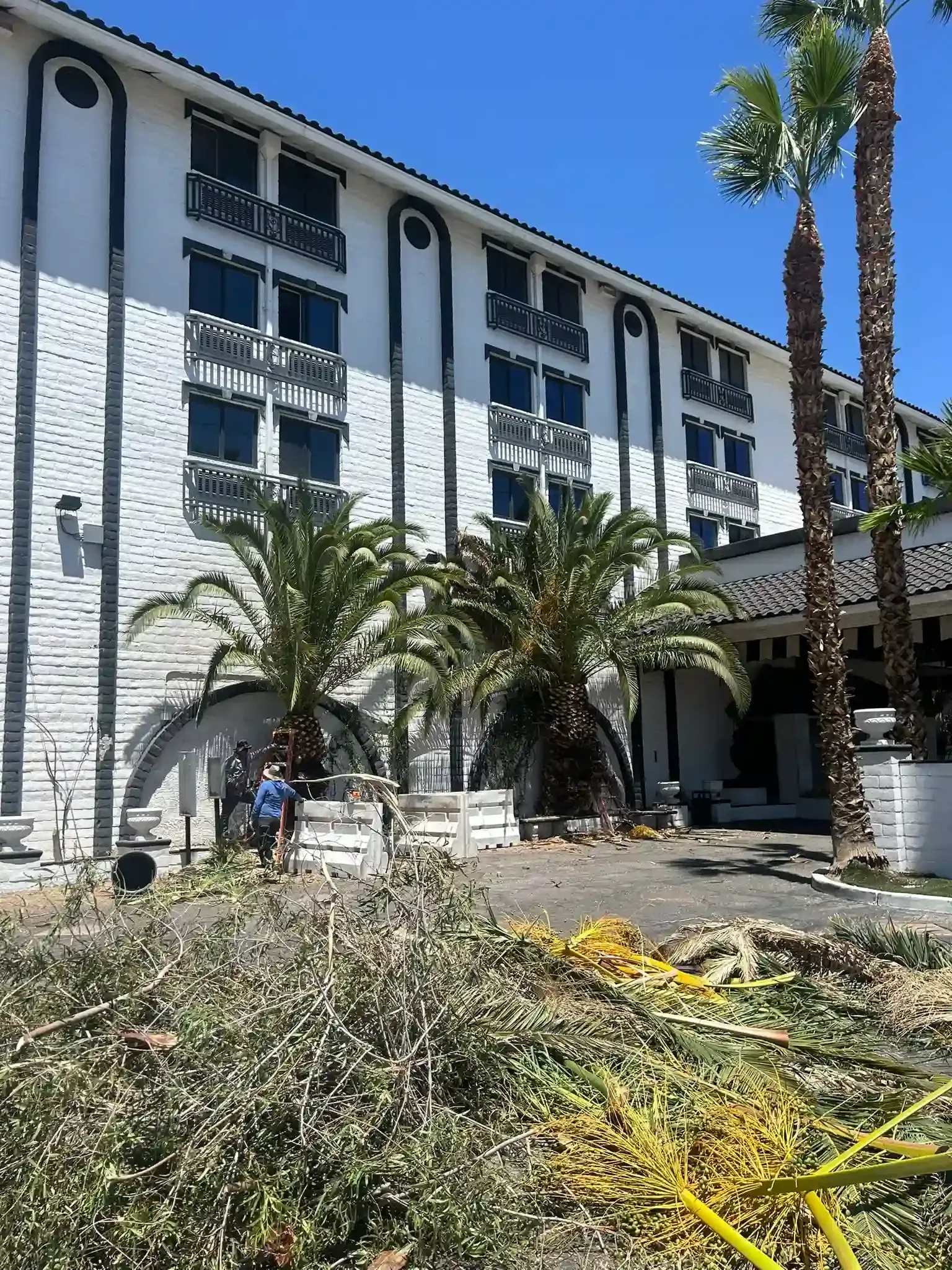 White building with arches and palm trees in bright sunlight, with garden plants and a blue sky