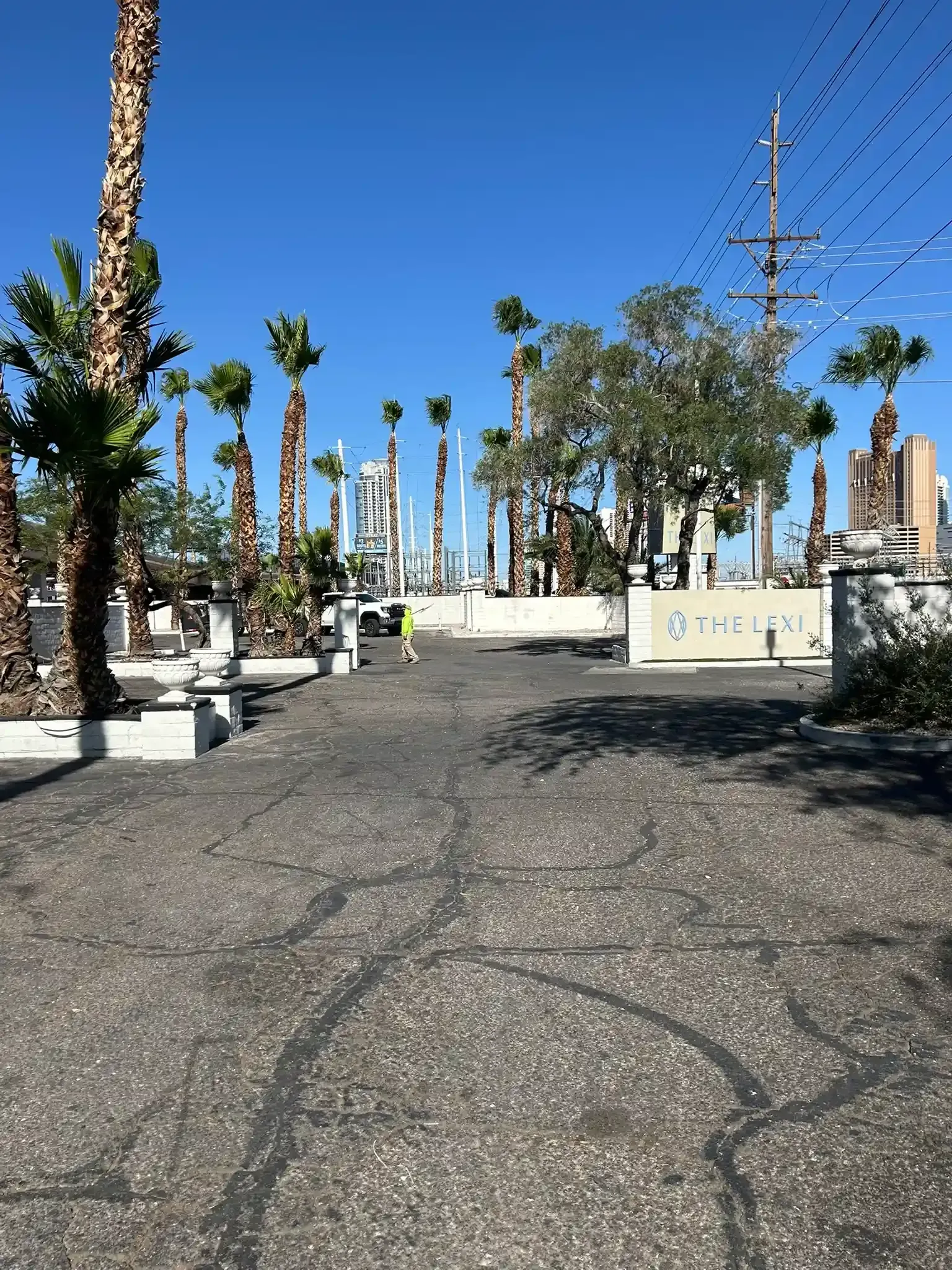 Gravel path between palm trees and a white wall under a clear blue sky