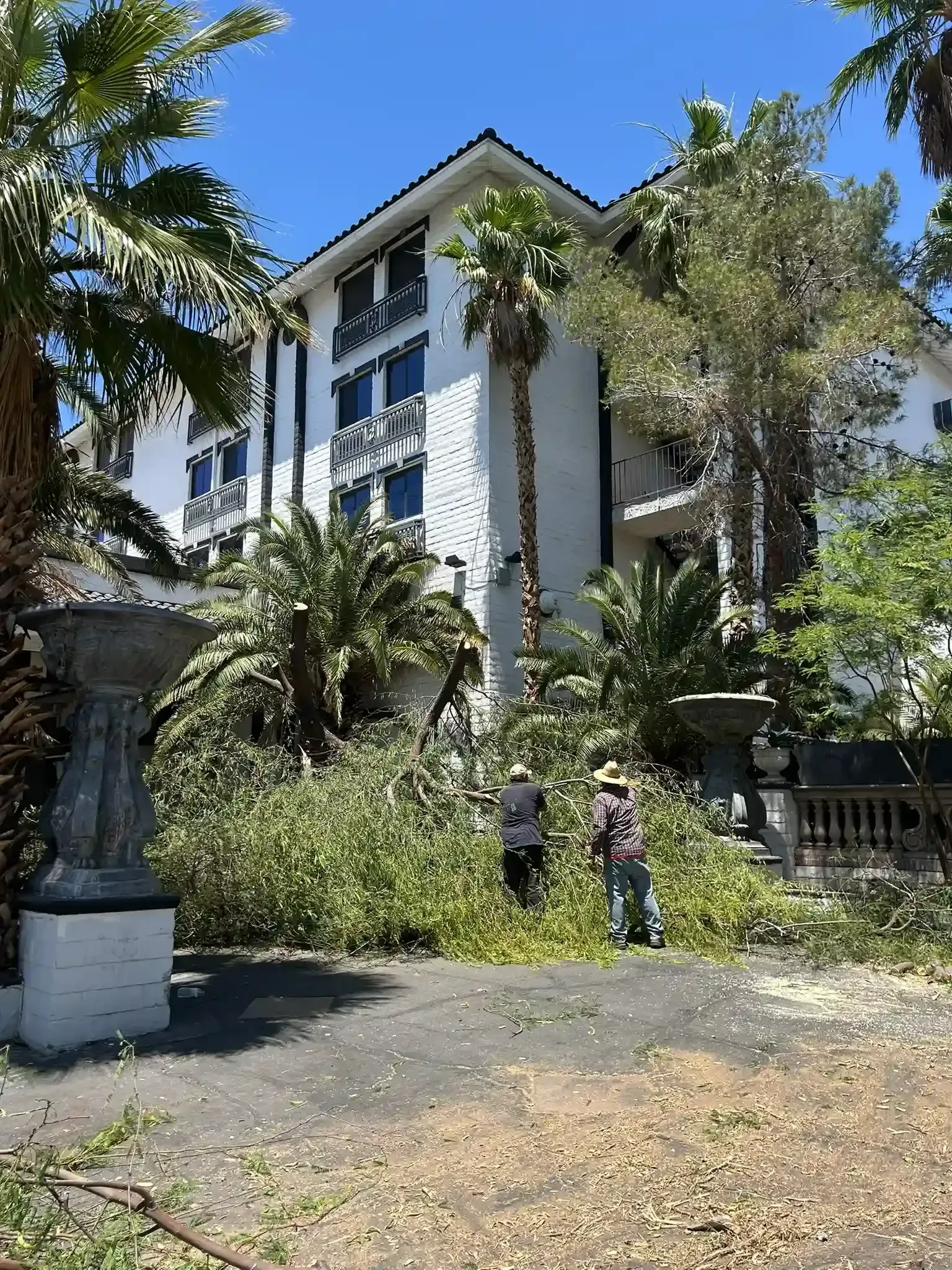 White multi-story building with blue trim amid palm trees and dense greenery on a sunny day