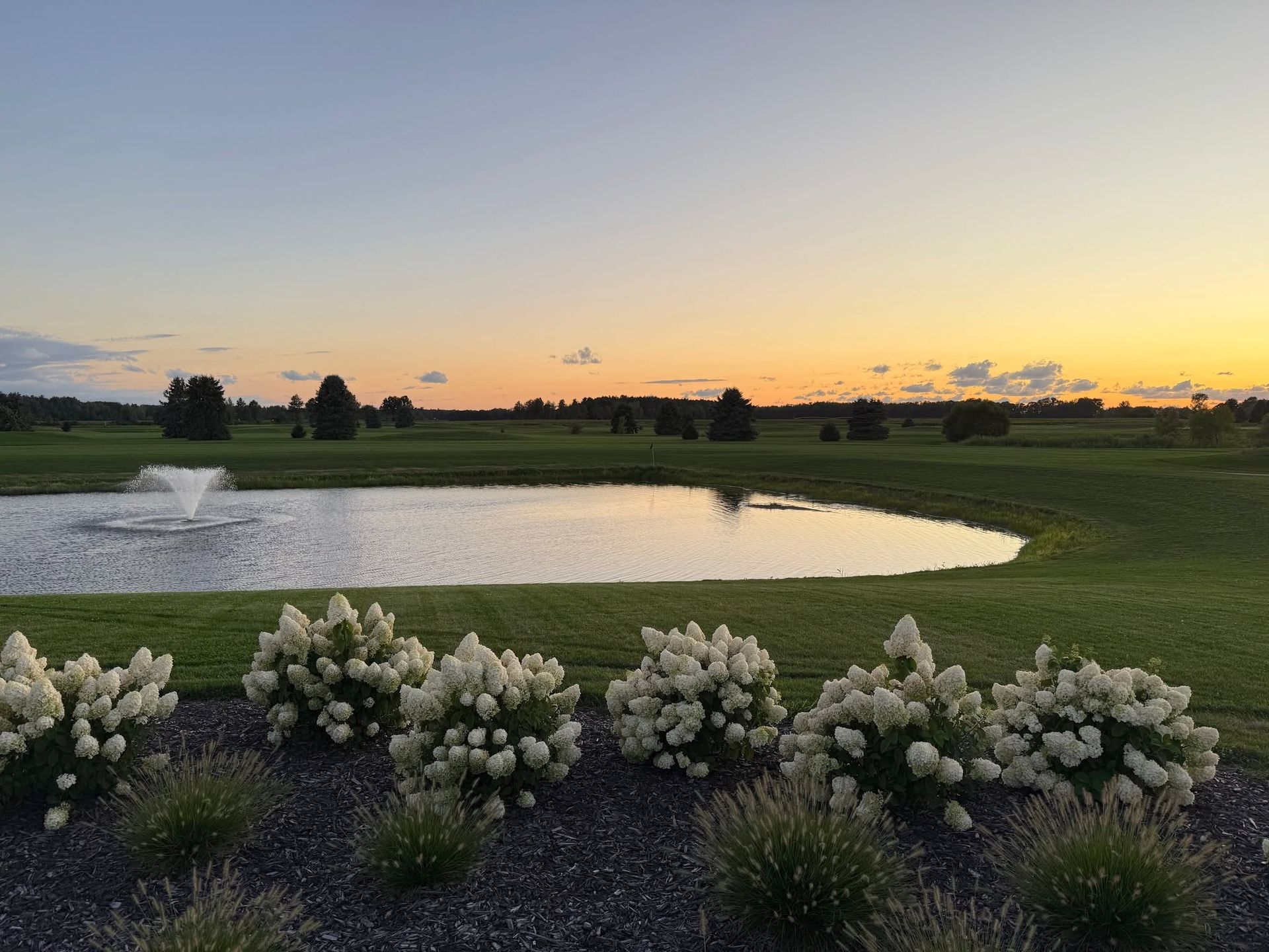 Pond fountain at sunset with blooming white flowers in the foreground and a grassy field beyond