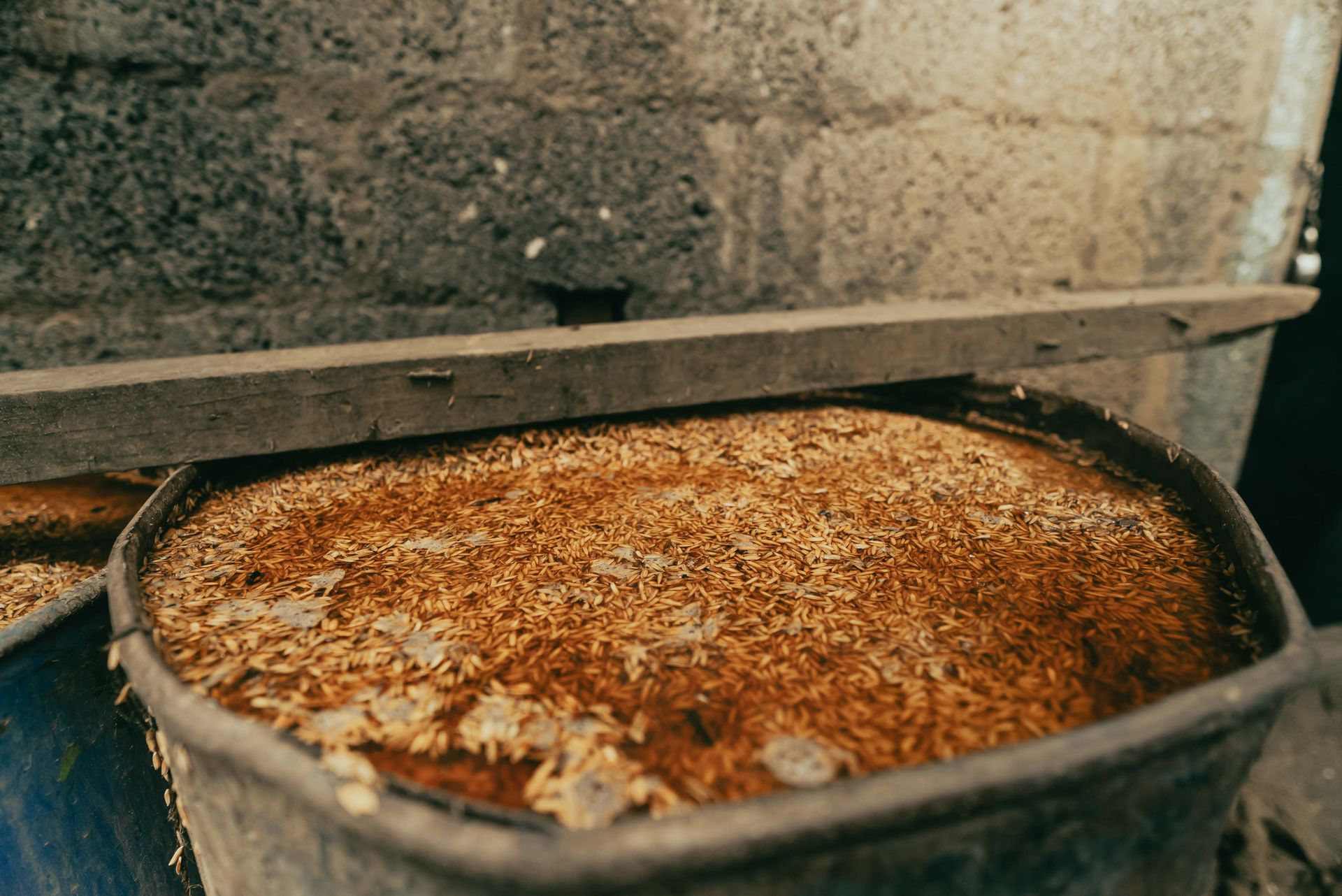Selco Puffed Rice Makers