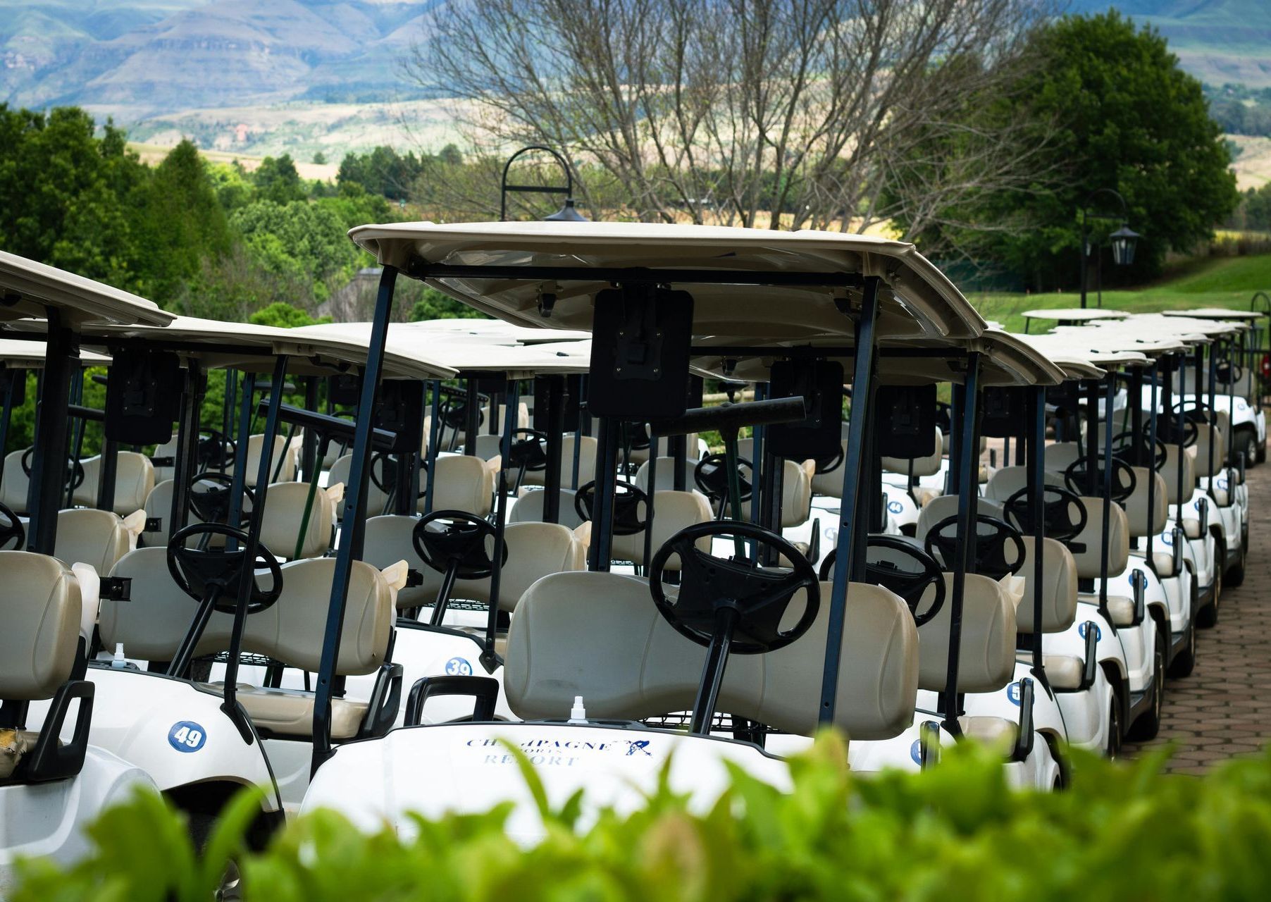 Golf Cart Depot near Commodore Perry Inn and Suite