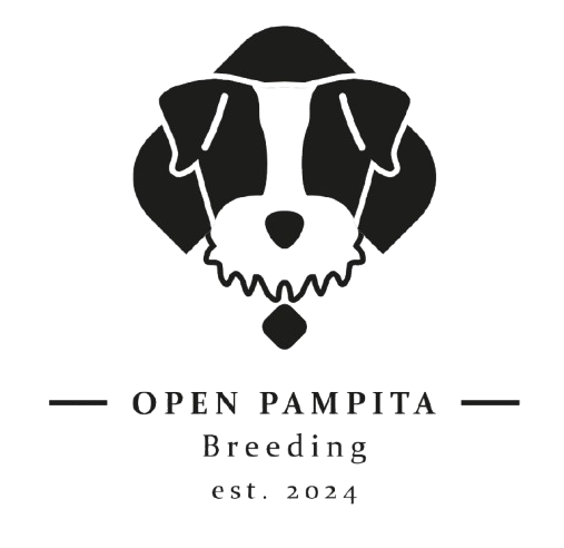 Logotipo para 