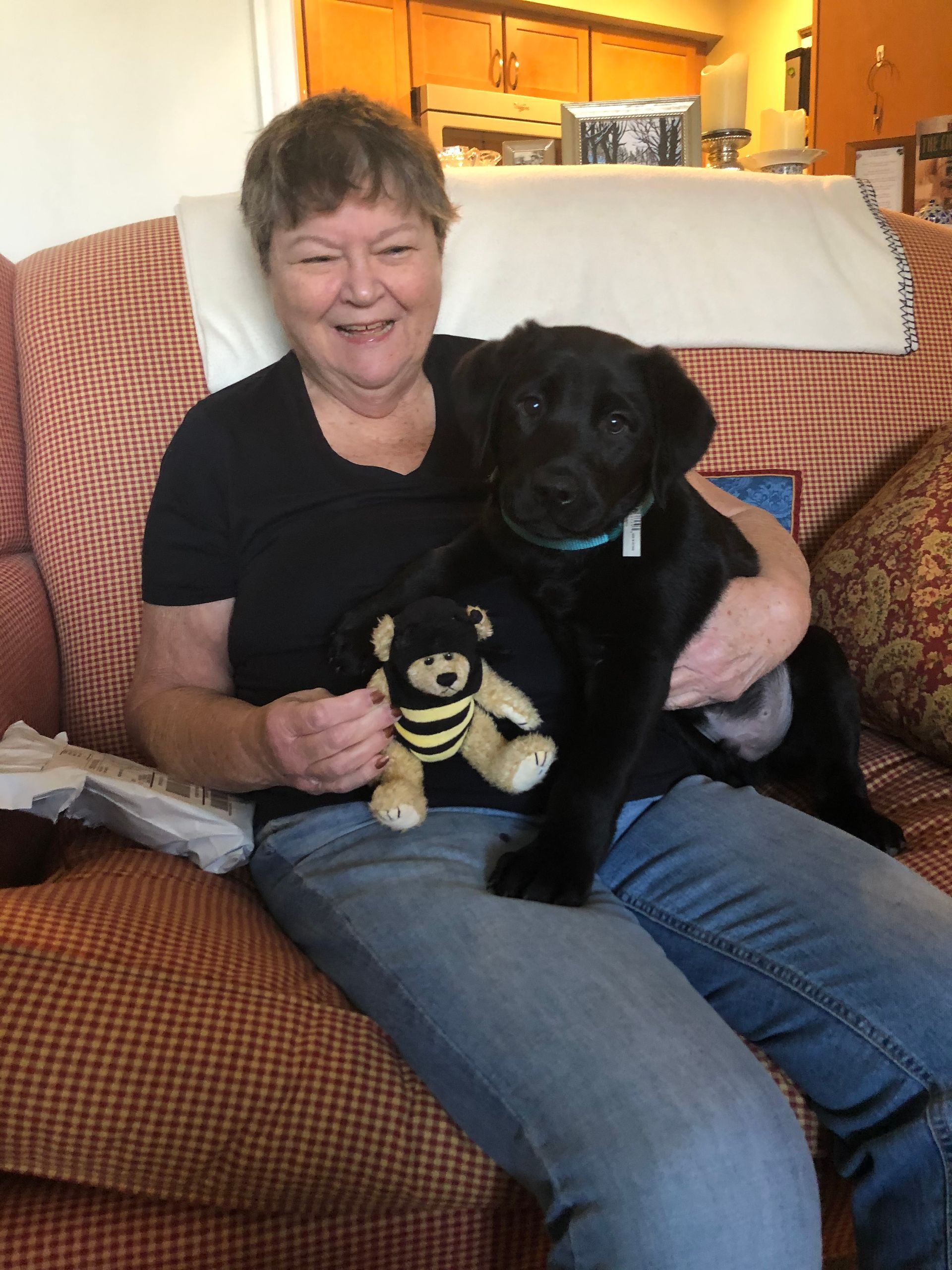 A woman is sitting on a couch holding a black dog and a teddy bear.