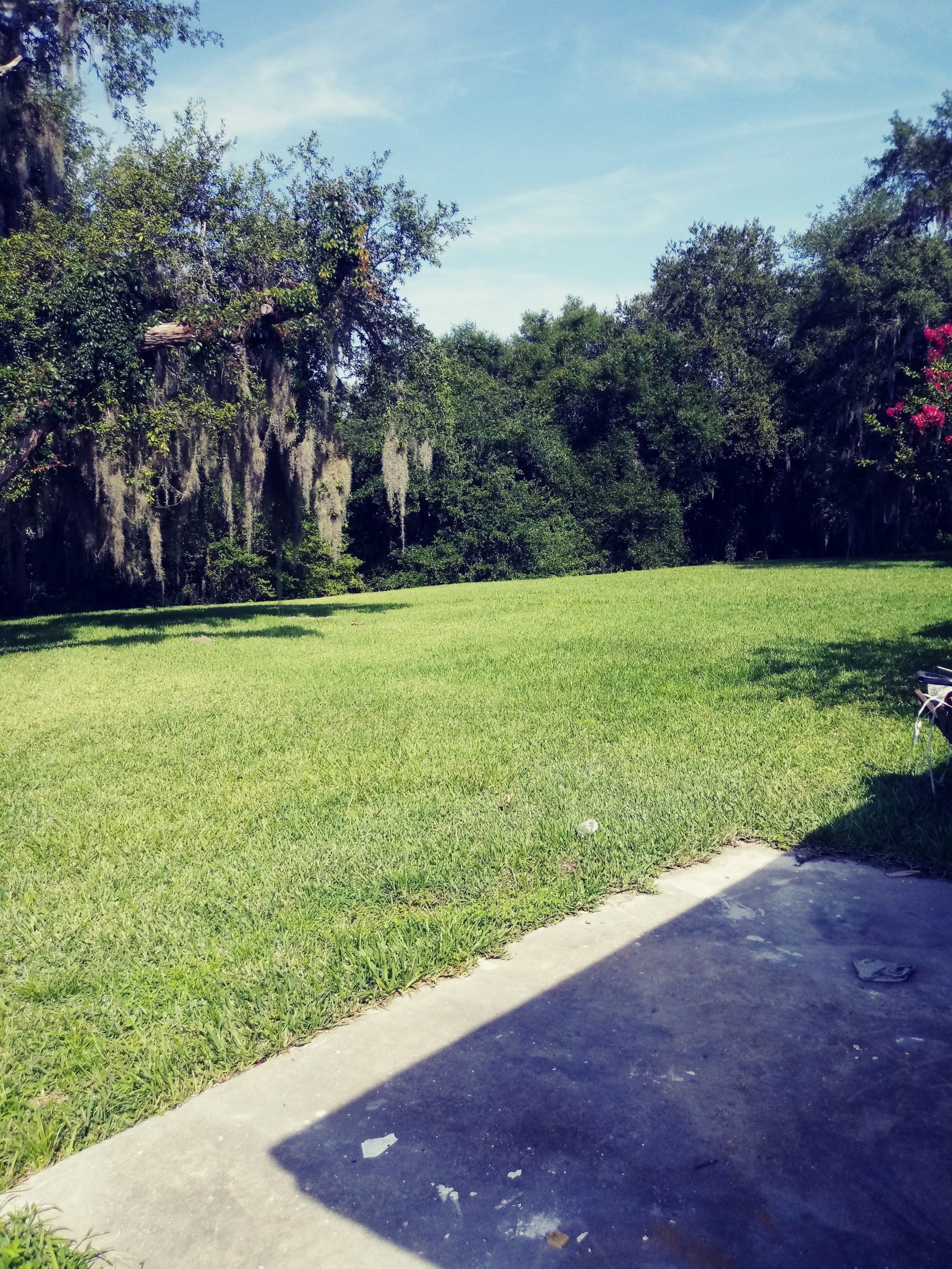 backyard view