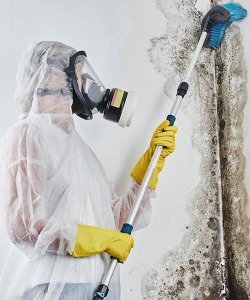 Lead — Campbell, CA — JWH Asbestos Removal Services