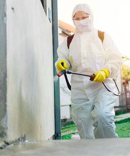 Lead — Campbell, CA — JWH Asbestos Removal Services