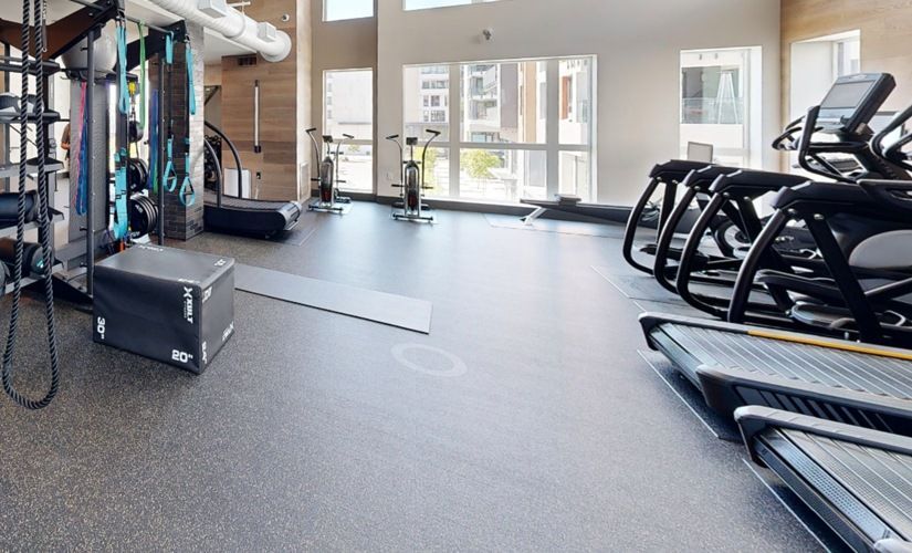 Bright, modern apartment gym with treadmills, bikes, and free weights at Sofia, offers pet-friendly apartments in Santa Clara.