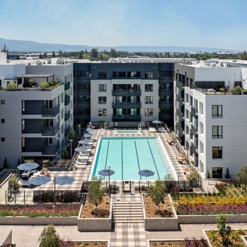 Outdoor pool in a modern apartment complex courtyard with lounge chairs and umbrellas at Sofia, offers pet-friendly apartments in Santa Clara.