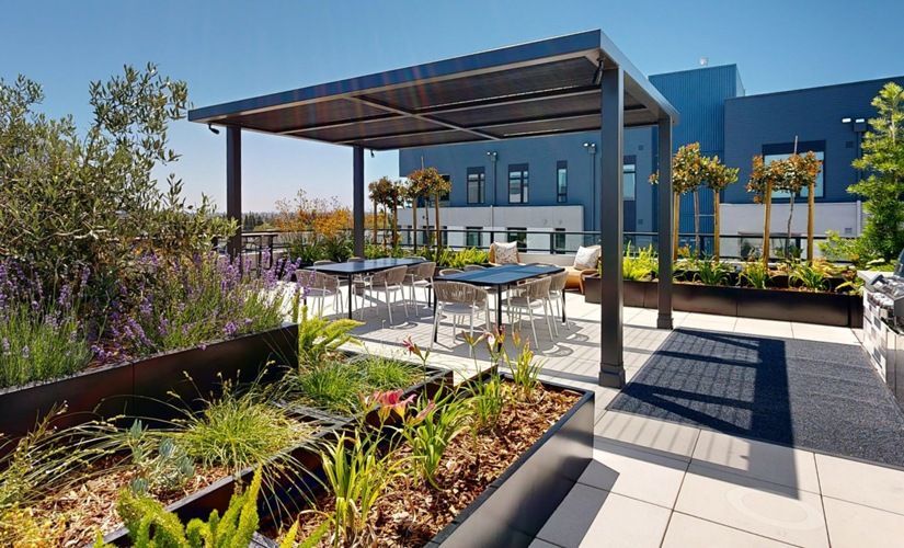 Rooftop patio with a shaded seating area, tables, and landscaped planters at Sofia, offers pet-friendly apartments in Santa Clara.