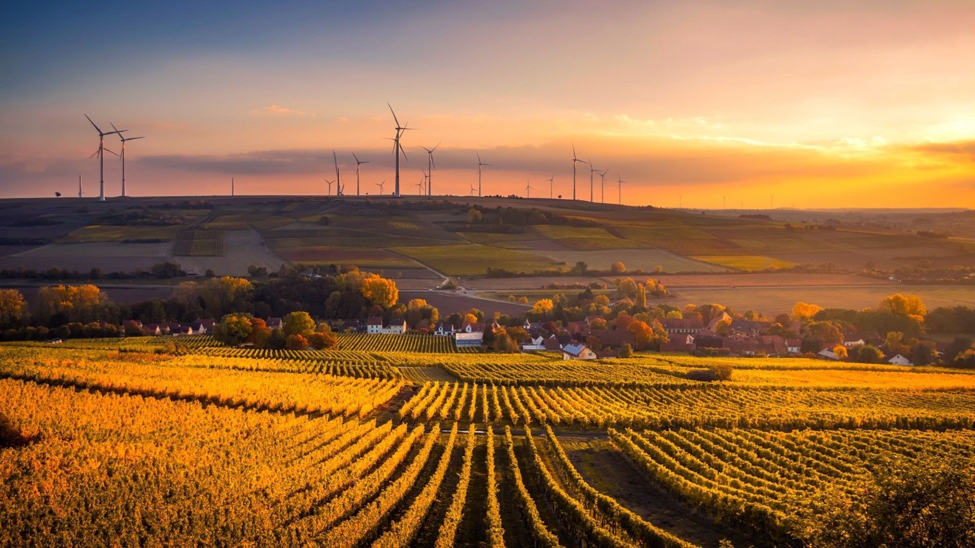Efficient Agricultural Farm Tax Return Preparation for Canadian Farmers and Agribusinesses