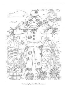 A scarecrow is standing in a field with pumpkins and flowers.
