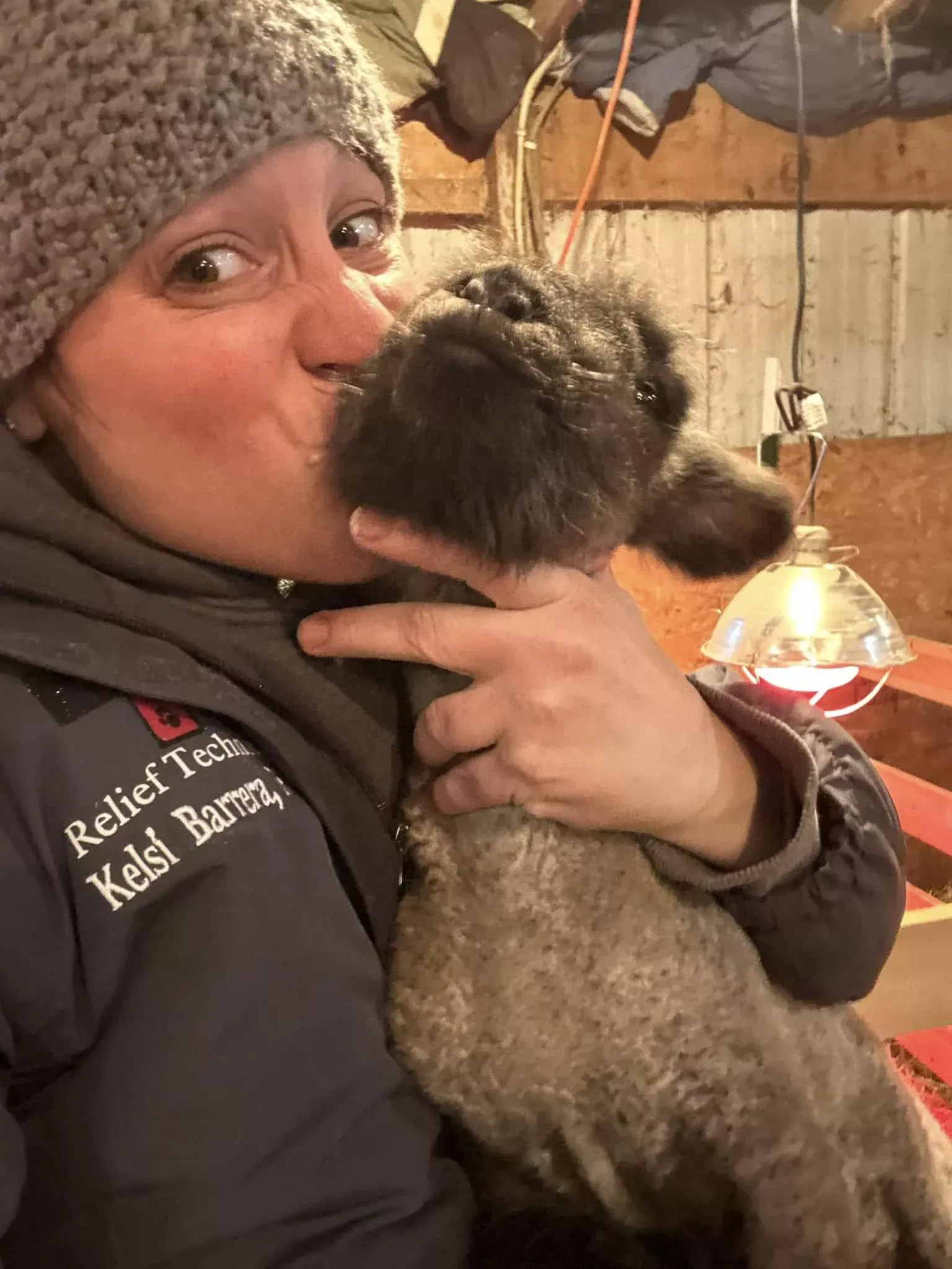 Person in a knit hat kisses a fluffy sheep indoors near a warm hanging lamp.