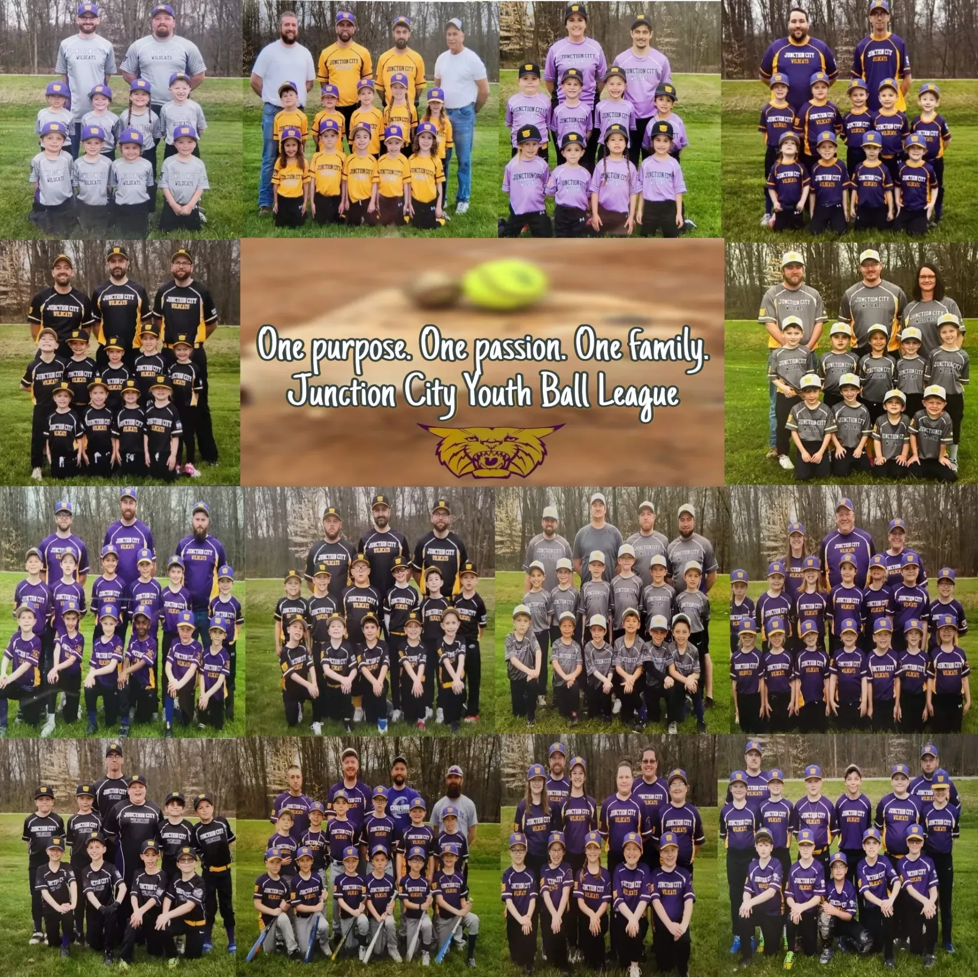 Collage of youth sports team photos in varied uniforms with league title text in the center.