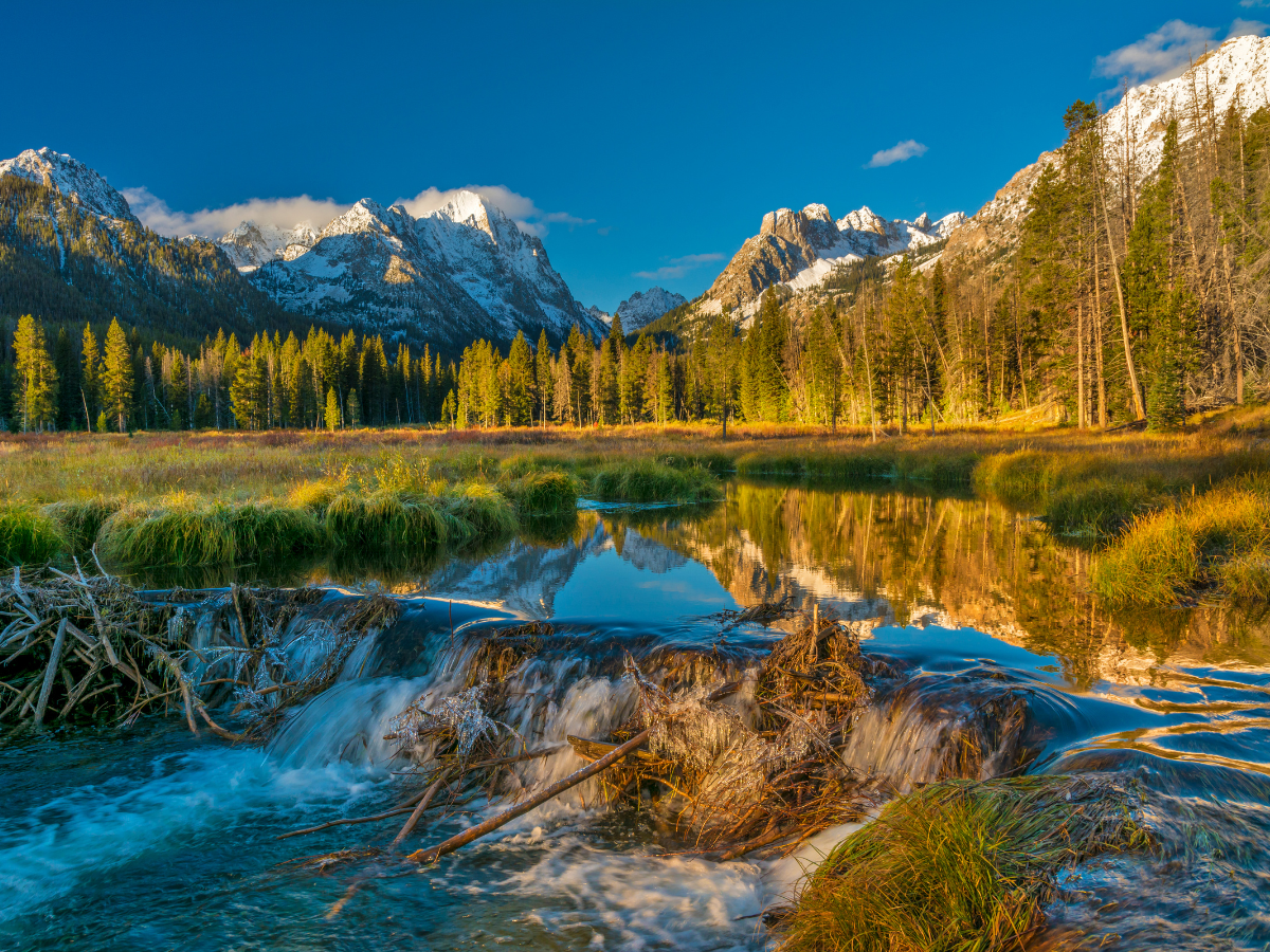 Mountain lake reflecting snowy peaks, golden trees, and blue sky with a flowing stream in the foreground