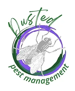 Fly Logo Fly Logo