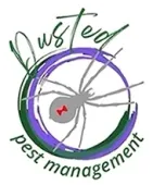 Spider  Logo