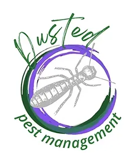 Ant Logo Ant Logo
