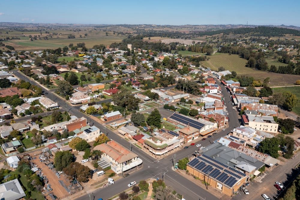 Aerial View of a Town, With Roads, Buildings and Trees — Dusted Pest Management in West Wyalong, NSW