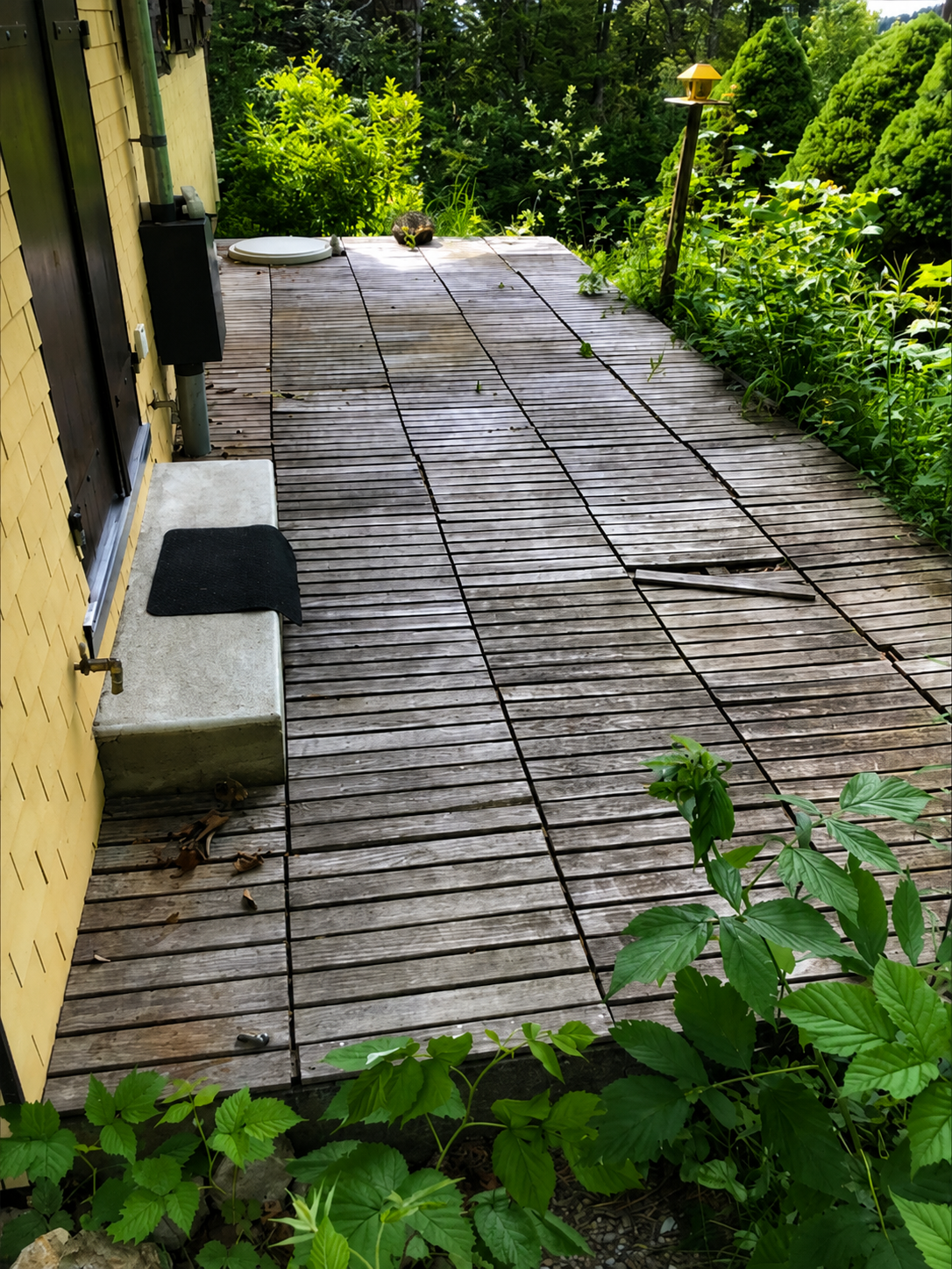 Allée en bois longeant une maison jaune, bordée de plantes et d'arbres d'un vert luxuriant.