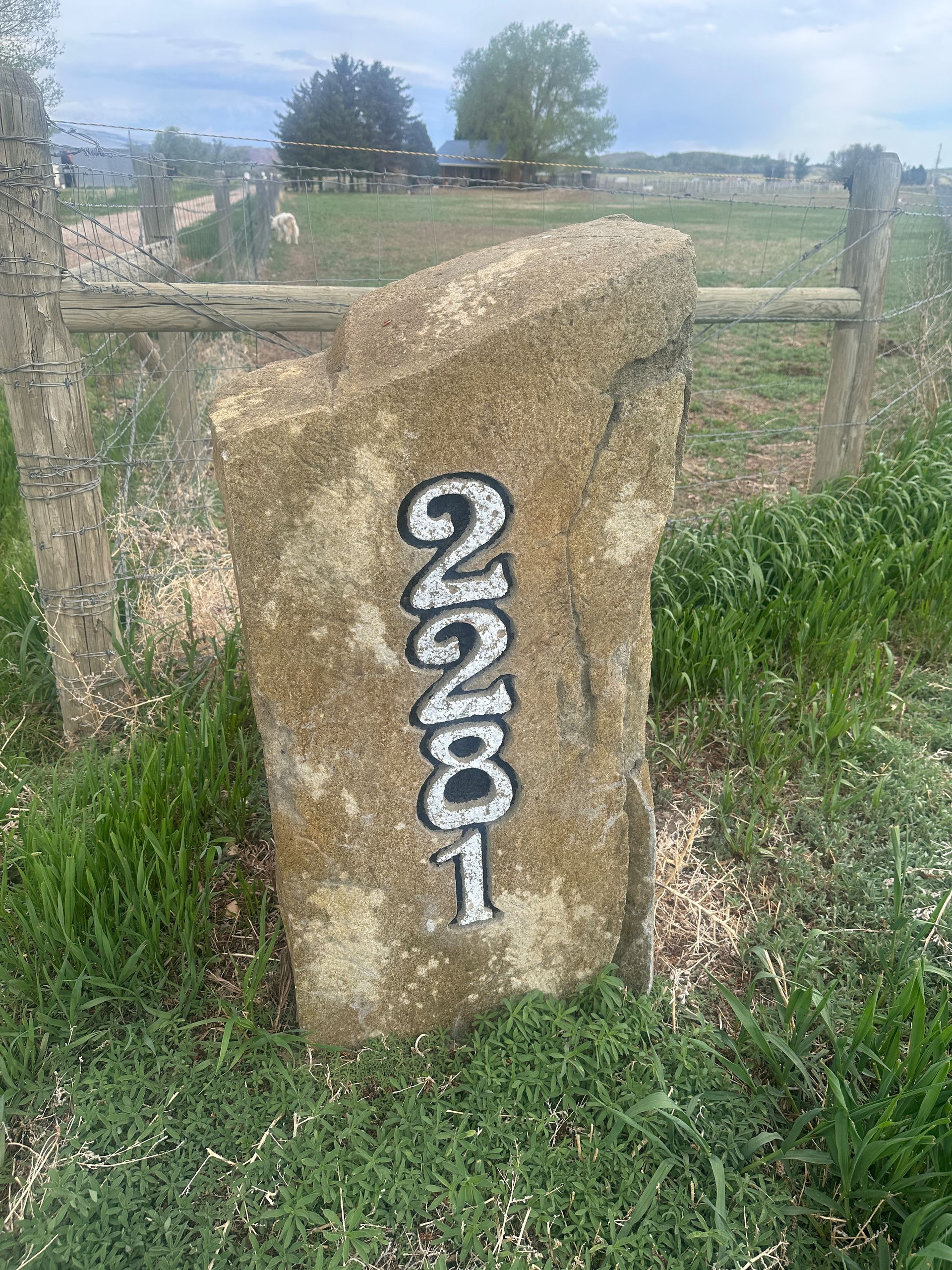Stone address marker with the numbers 2281 in white.