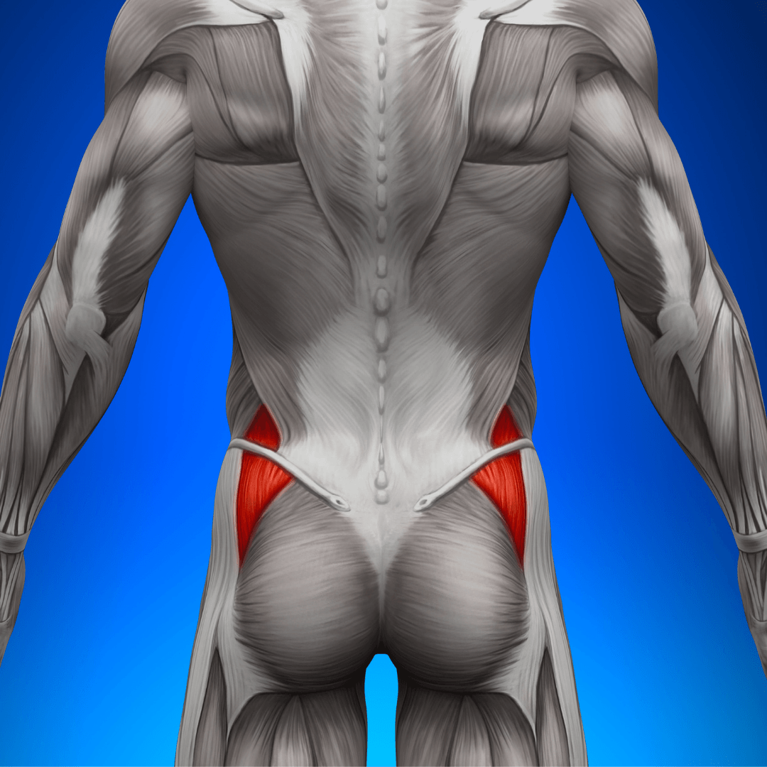 Stronger Glutes Stronger Glutes