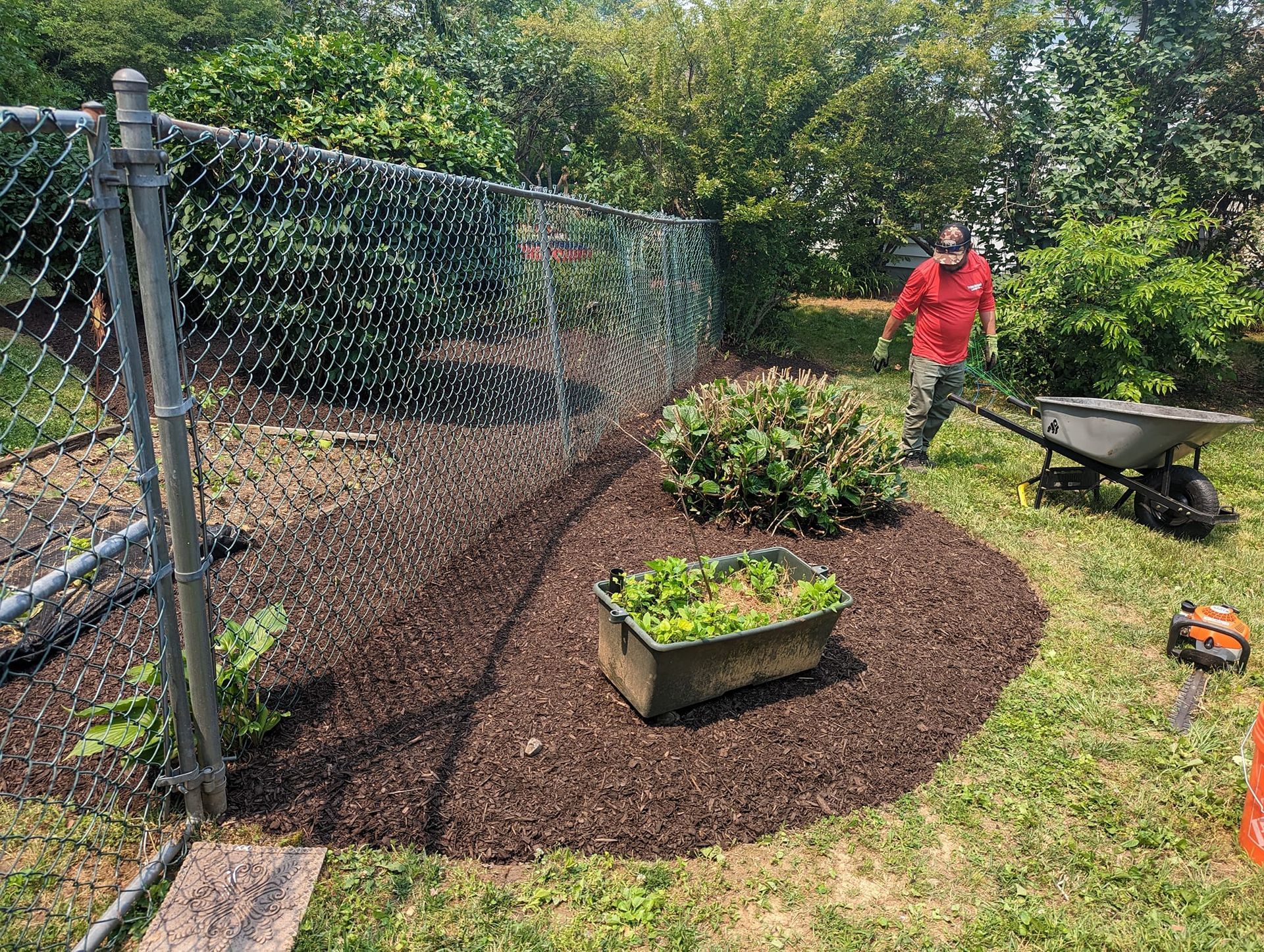 A person in a red shirt pushes a wheelbarrow near a mulched garden bed along a chain-link fence. A person in a red shirt pushes a wheelbarrow near a mulched garden bed along a chain-link fence.