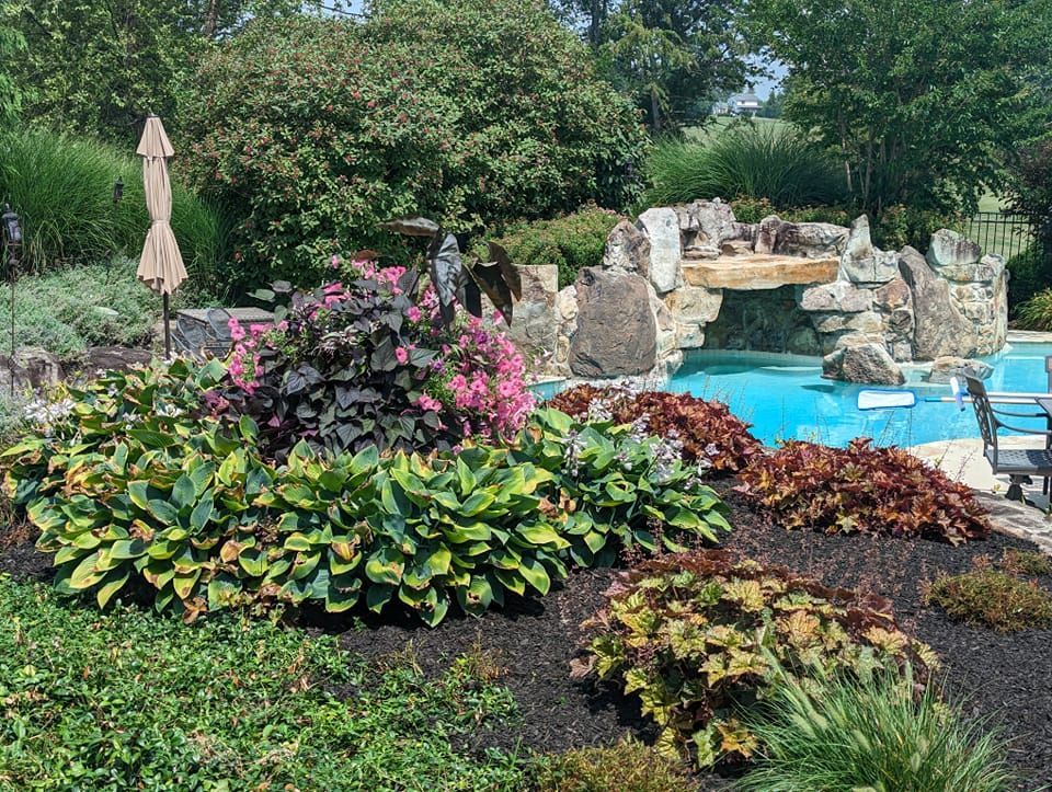 A garden bed with dark mulch features a variety of small, colorful petunia flowers in shades of pink, purple, and white.