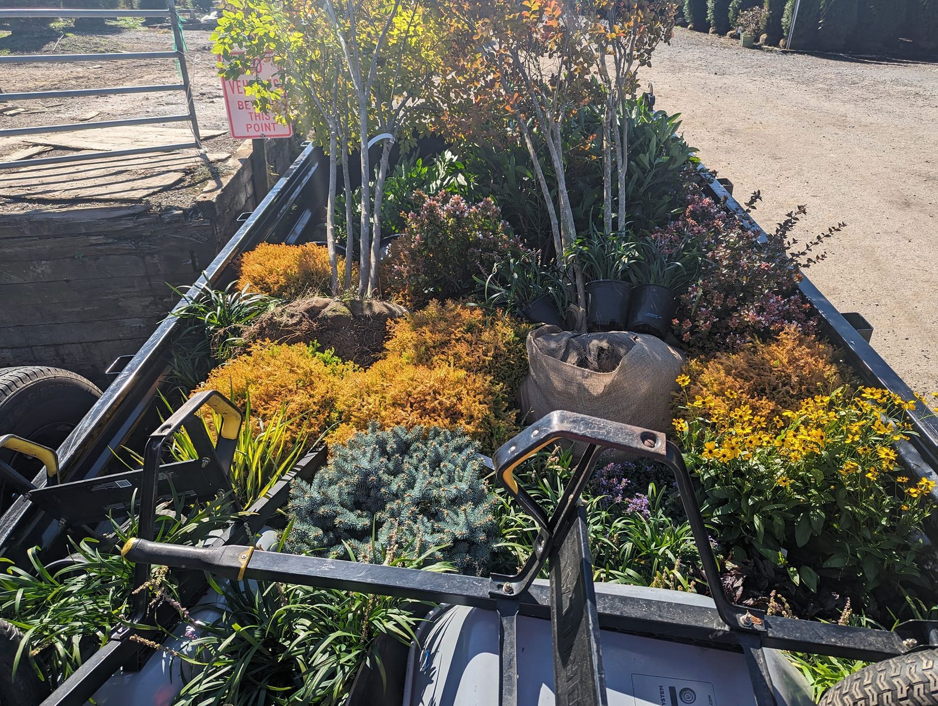 A variety of potted trees, shrubs, and ornamental plants packed into the bed of a utility trailer outdoors. A variety of potted trees, shrubs, and ornamental plants packed into the bed of a utility trailer outdoors.