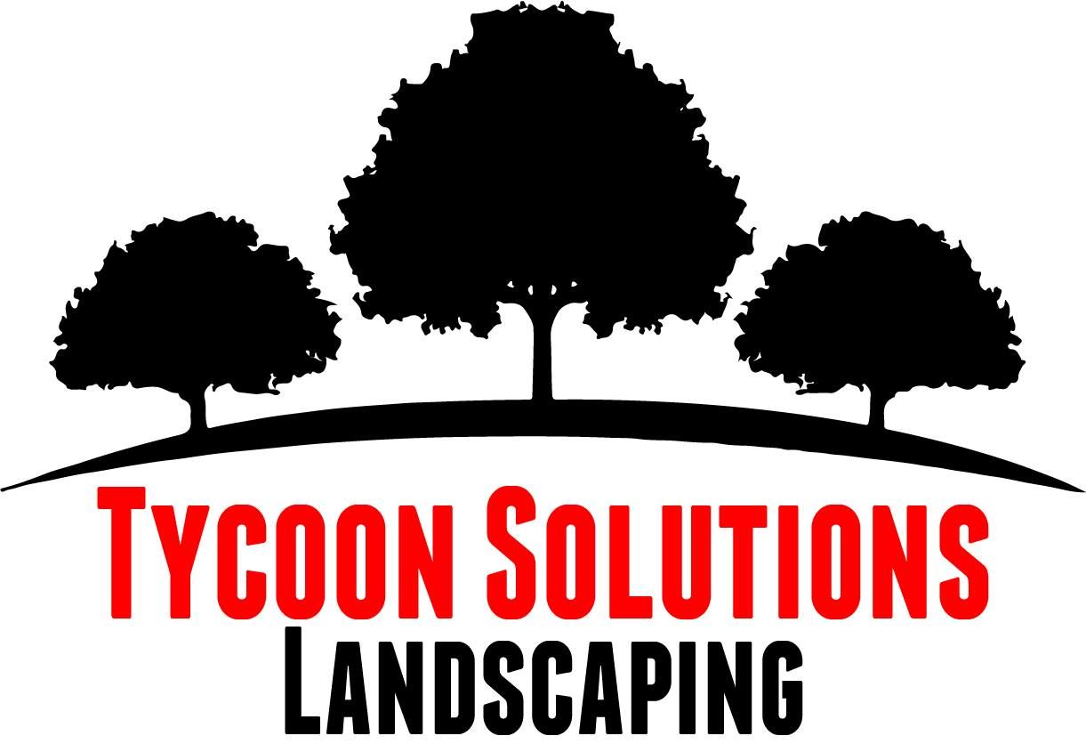 Tycoon Solutions LLC Tycoon Solutions LLC