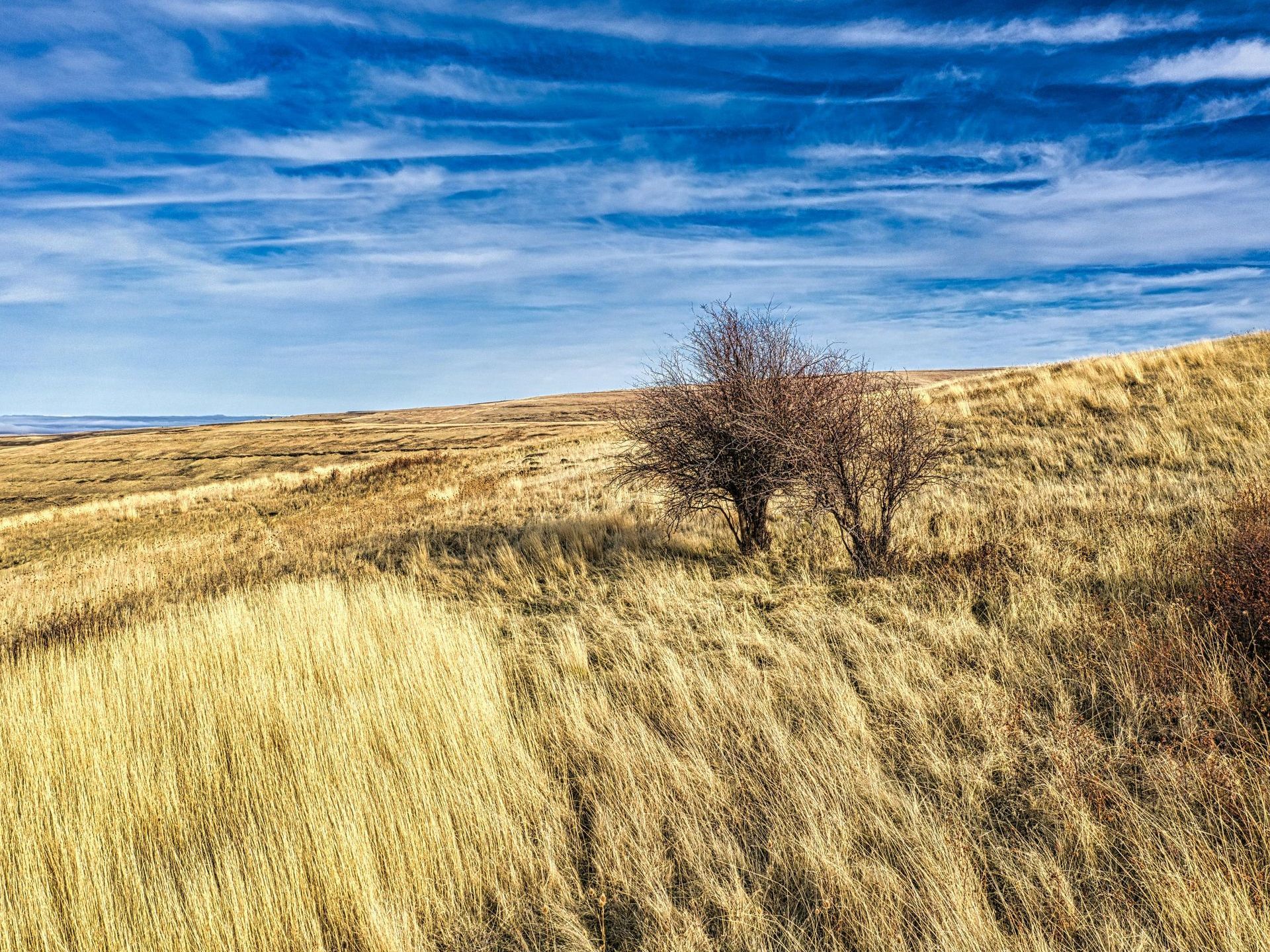#HorseProperty
#CreativeFinancing
#OregonRealEstate
#BuyLand
#RealEstateDeals
#DividableParcels