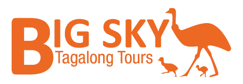 Orange logo: 