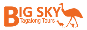 Orange logo: 