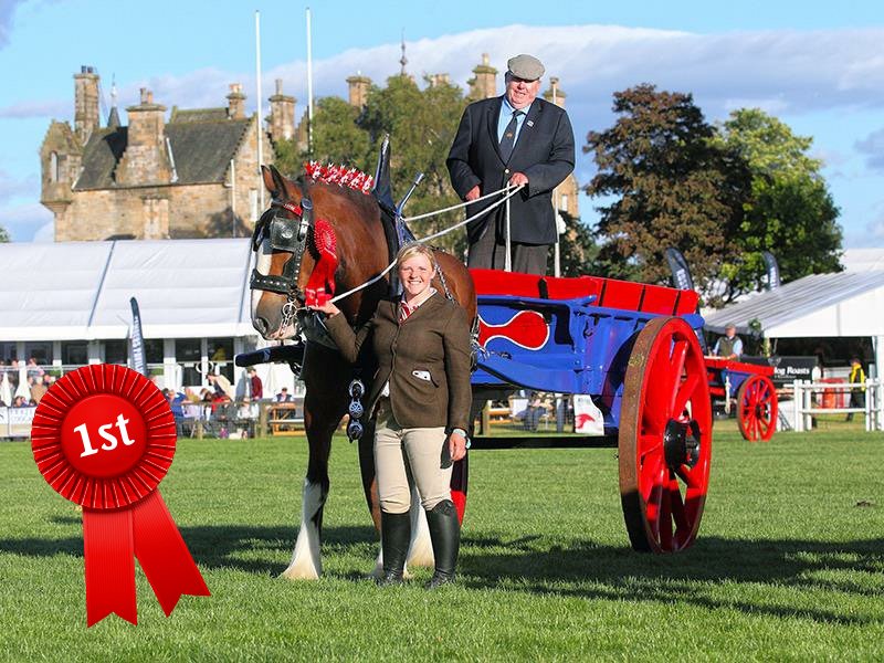2021 CLYDESDALE ENTRIES 2021 CLYDESDALE ENTRIES