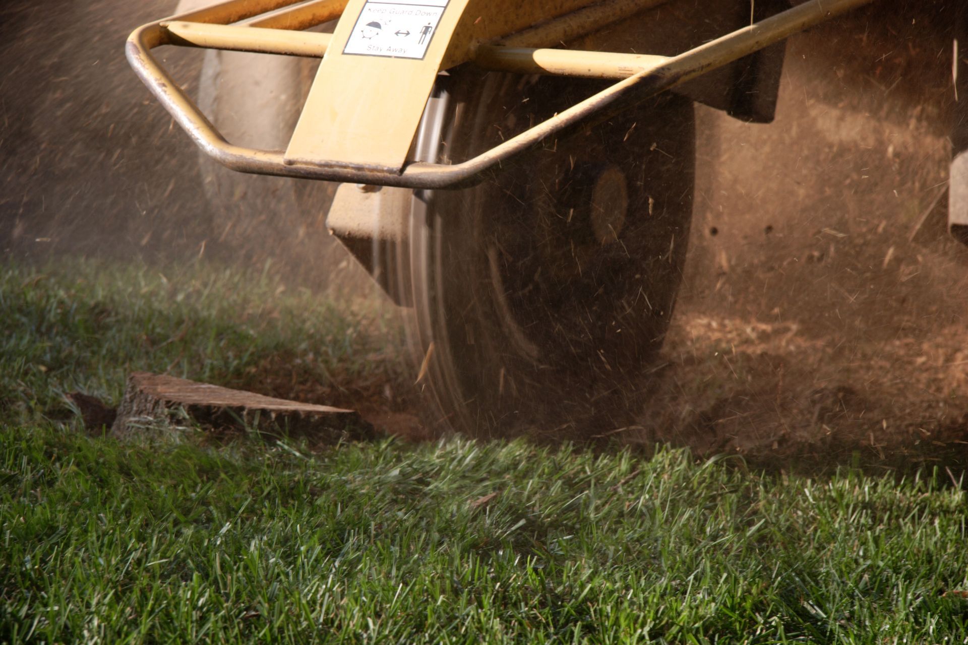 Stump Grinder — La Porte, IN — Wever Tree Service
