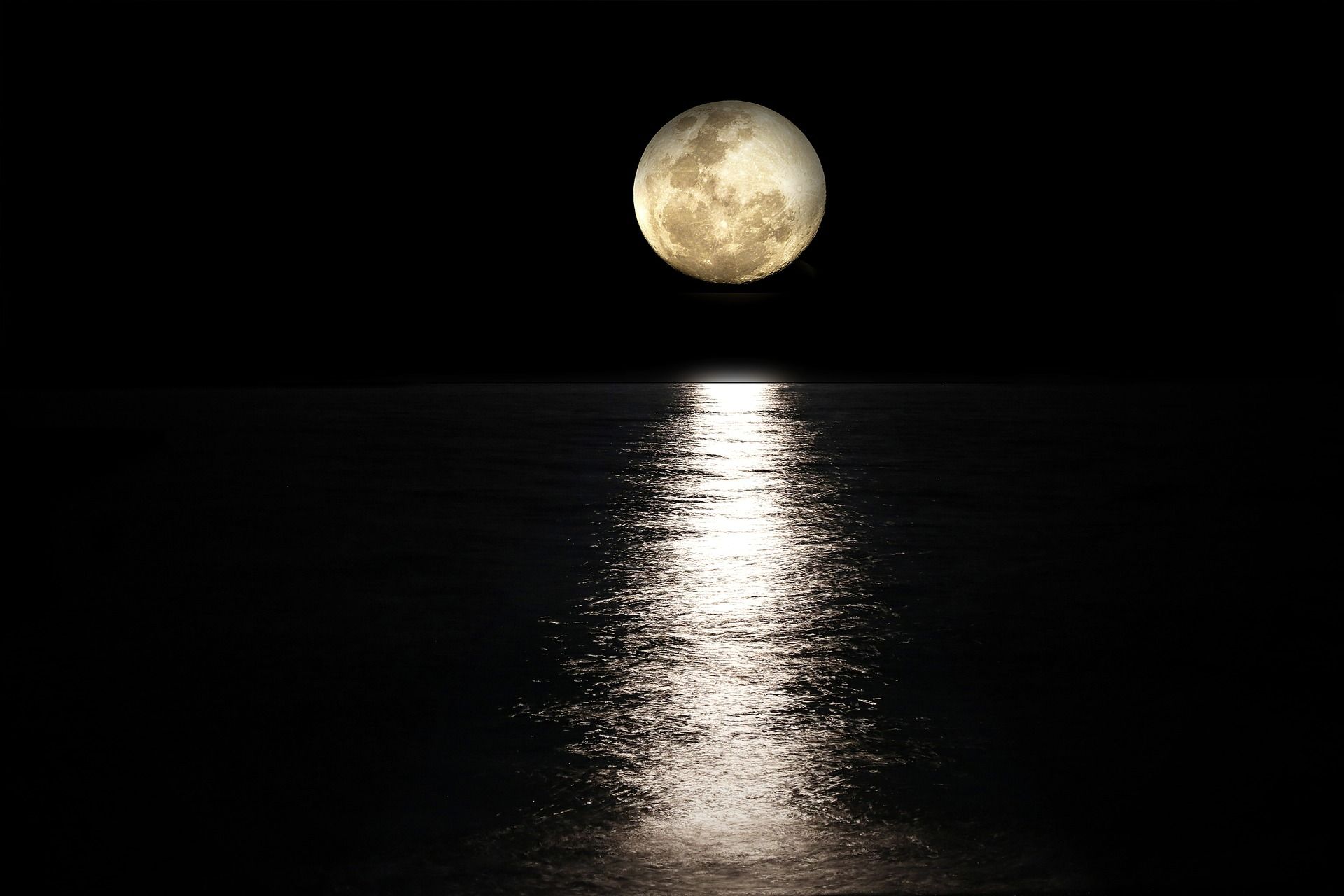 An evening Qigong and Tai Chi session under a full moon, during a special free outdoor class.