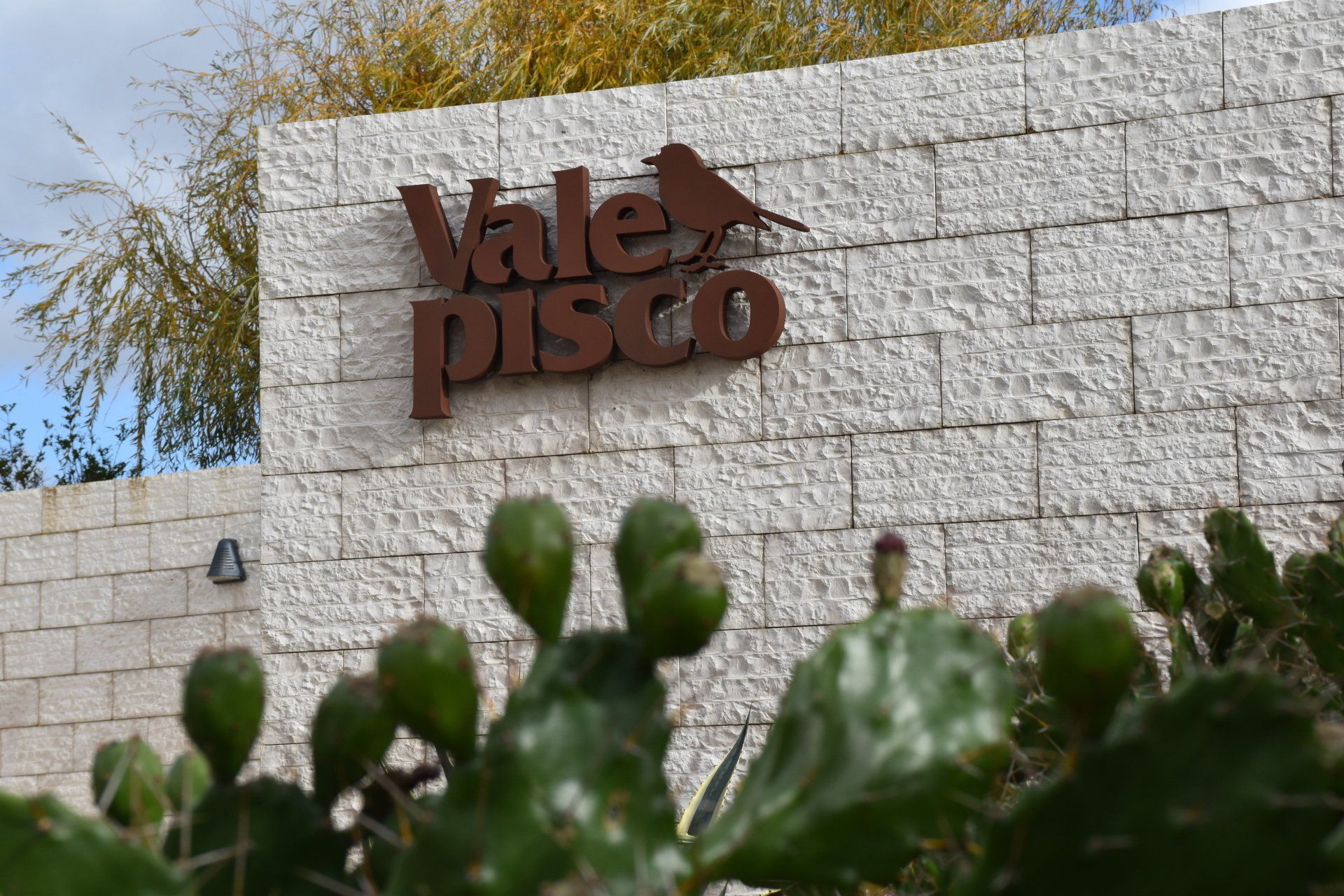 Quinta Vale Pisco